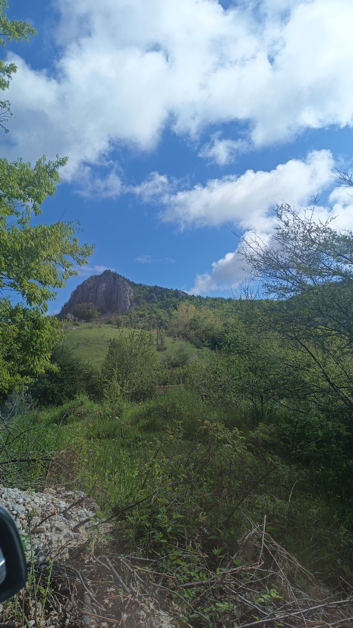 The image shows a view towards a rocky mountain, possibly near Vratsa, Bulgaria. The sky is partly cloudy with a vibrant blue color. The landscape is dominated by lush green vegetation. In the foreground, there is a mix of grass, bushes, and some scattered debris. Part of a vehicle is visible in the lower-left corner. The mountain appears to be mostly covered in grass and trees, with a prominent rocky outcrop at its peak. Power lines cut across the hillside.