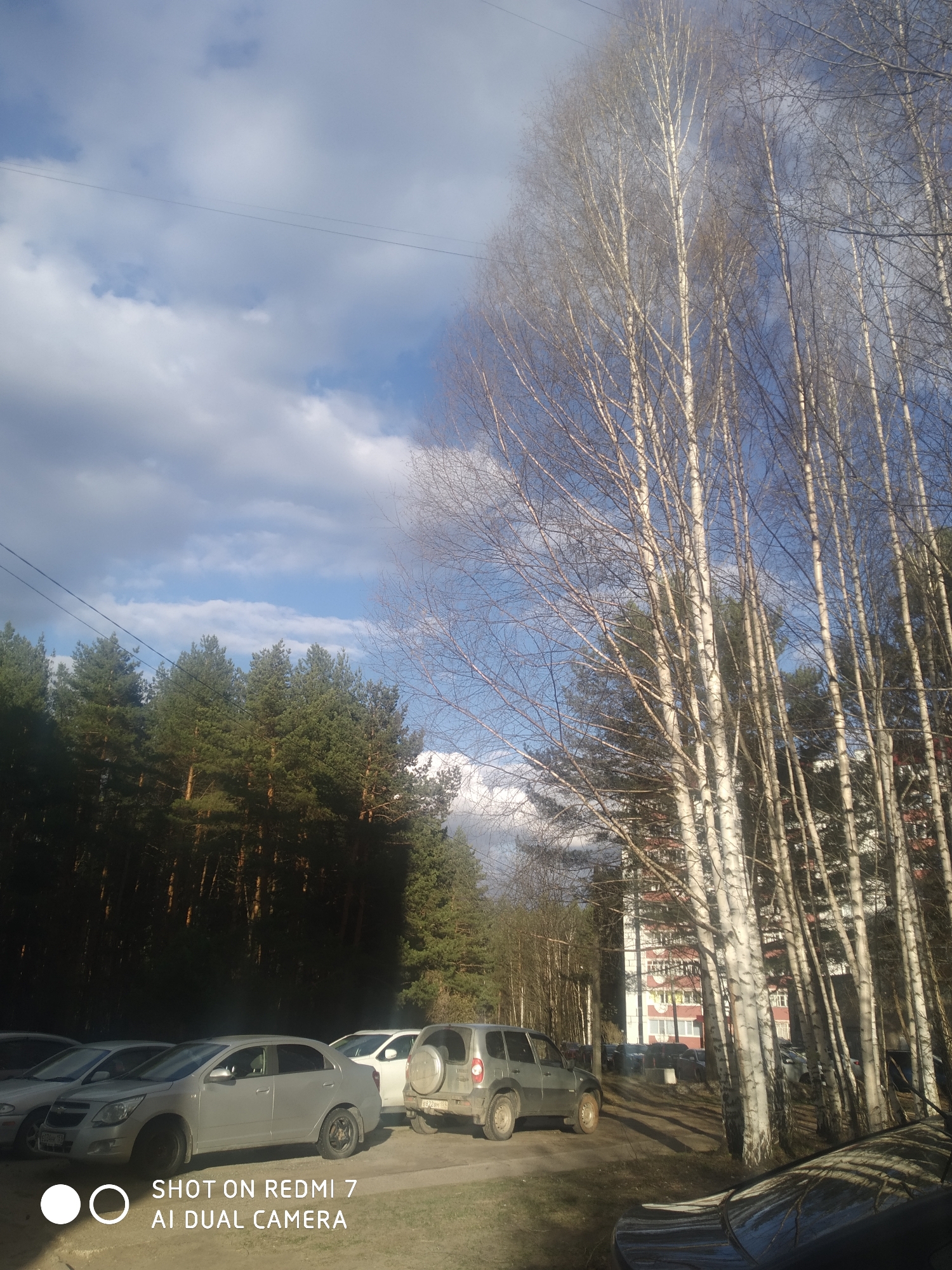 The image presents an outdoor scene in Chaikovsky, Russia, featuring a mix of natural and built environments under a partly cloudy sky. The upper half of the frame shows a bright blue sky with scattered white and grey clouds. Thin power lines are visible stretching across the sky on the left.
On the left side of the photograph, a dense forest of tall, dark green coniferous trees, likely pines or firs, creates a lush backdrop. Their dark foliage contrasts with the brighter sky.
The right side of the image is dominated by numerous tall, slender birch trees with characteristic white bark and bare branches, indicating either early spring or late autumn. Behind these birches, a multi-story residential building with red and white sections is partially visible.
In the middle and foreground, a dirt and gravel parking area accommodates several vehicles. A prominent silver sedan, possibly a Chevrolet Cobalt, is parked on the left. To its right, a silver SUV, resembling a Lada Niva Travel, is visible with a spare tire mounted on its rear door, parked on the uneven ground. Another dark car is partially seen in the bottom right corner. The ground is a mix of dirt and sparse dry grass, with shadows cast by the trees and vehicles.
The scene is illuminated by bright daylight, creating distinct shadows, particularly from the trees. The overall impression is of a residential area situated adjacent to a natural forest.
A white watermark is present in the bottom left corner of the image, reading: "SHOT ON REDMI 7 AI DUAL CAMERA".
