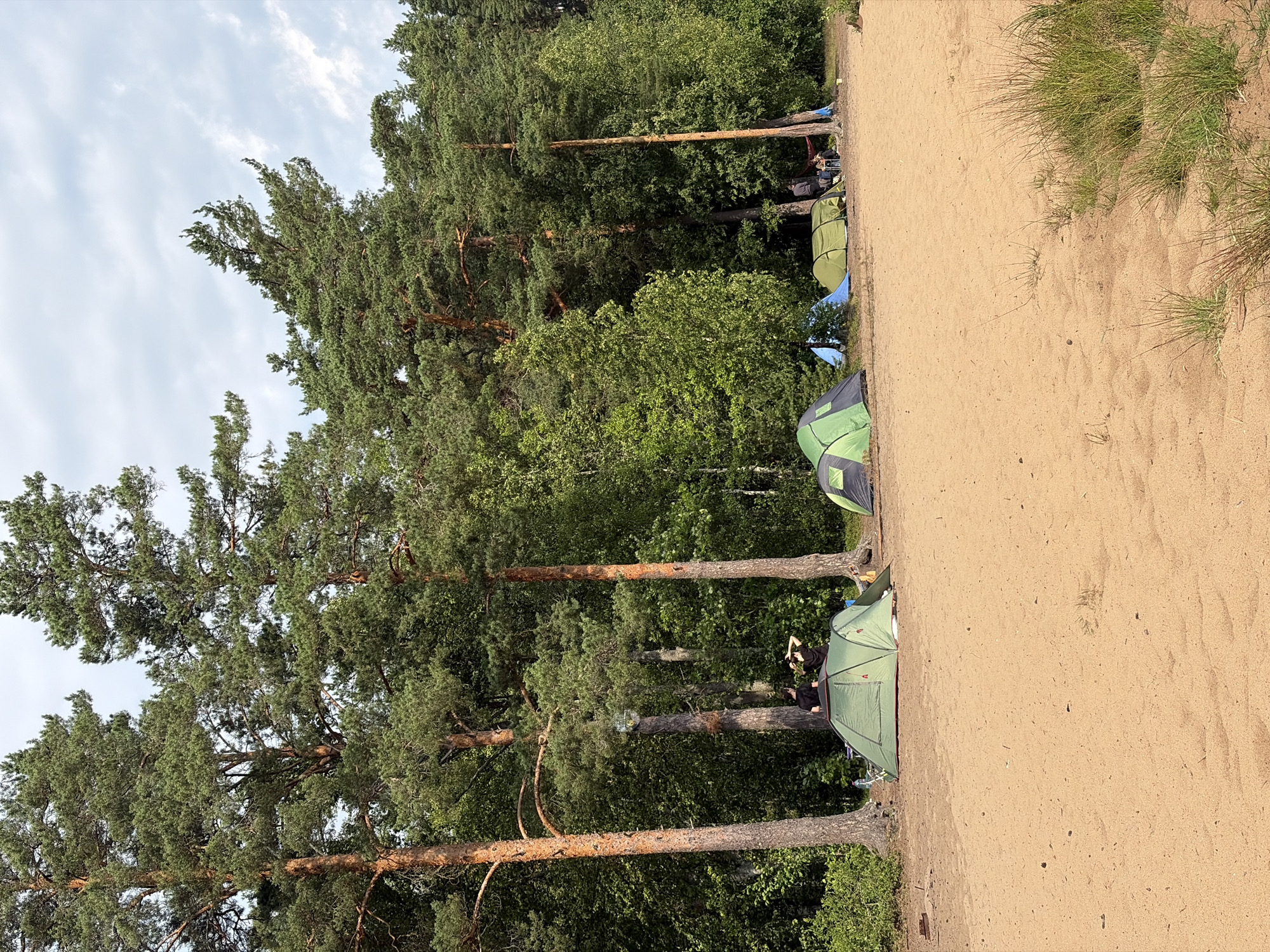 A sandy campsite is set up at the edge of a pine forest in Vaskelovo, Russia. Several tents, including green, blue, and black ones, are visible. Two people are standing near a green tent, while others are seated at a table under the trees. The scene is illuminated by natural daylight, with the sky appearing overcast. The forest features tall pine trees and lush green foliage.
