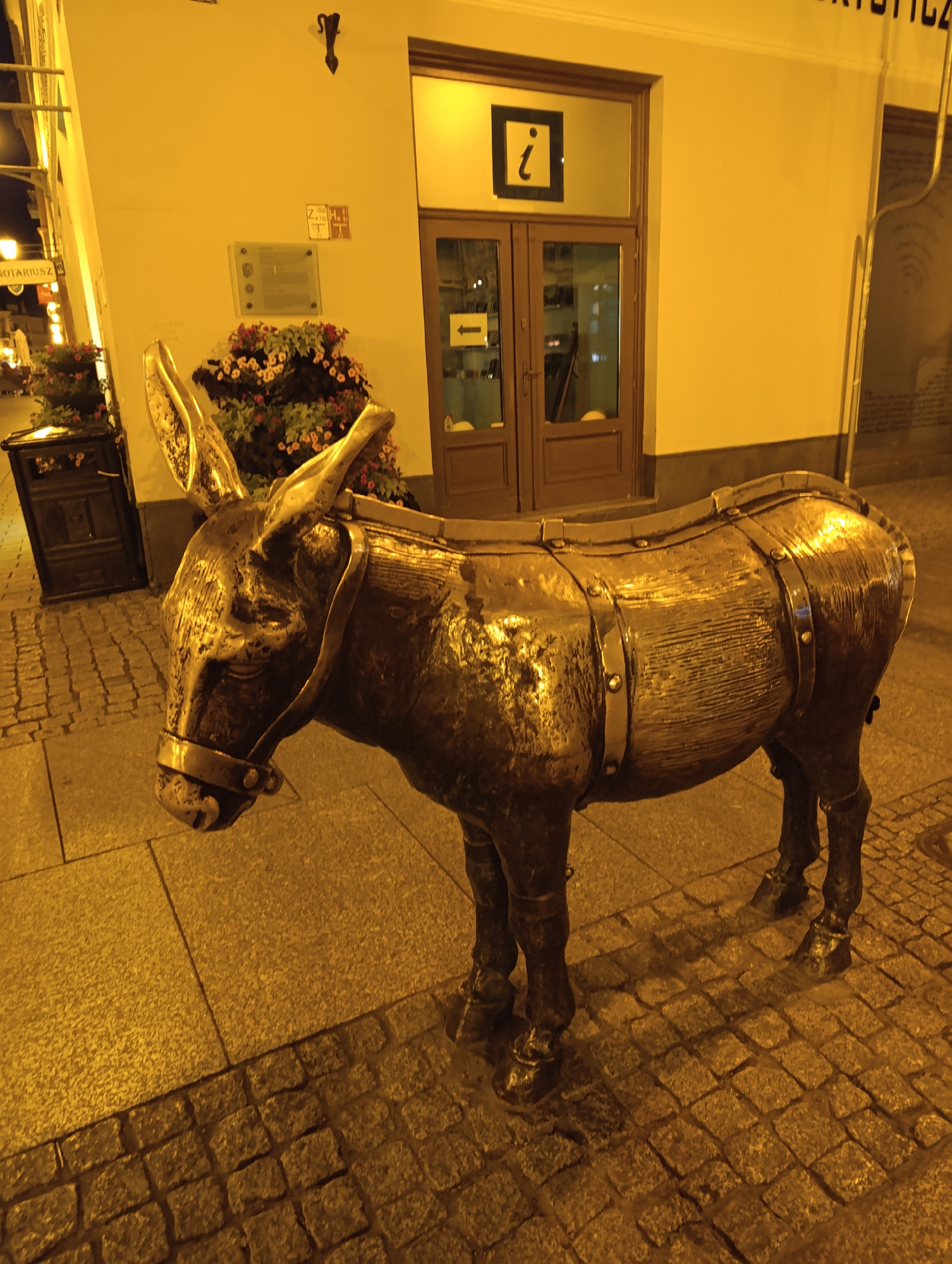 A bronze sculpture of a donkey stands on a cobblestone sidewalk in front of a building with a yellow facade at night. The donkey is depicted with a saddle and harness, and it is facing left. The building has a glass door with a black frame and a sign with a white "i" on a black background. There are flower planters next to the donkey. The image appears to be taken in Toruń, Poland, as indicated by the "NOTARIUSZ" sign visible on the left side of the image, which is the Polish word for notary and is a common sight in Polish cities. The street is illuminated by artificial lighting, casting a warm glow on the scene.
