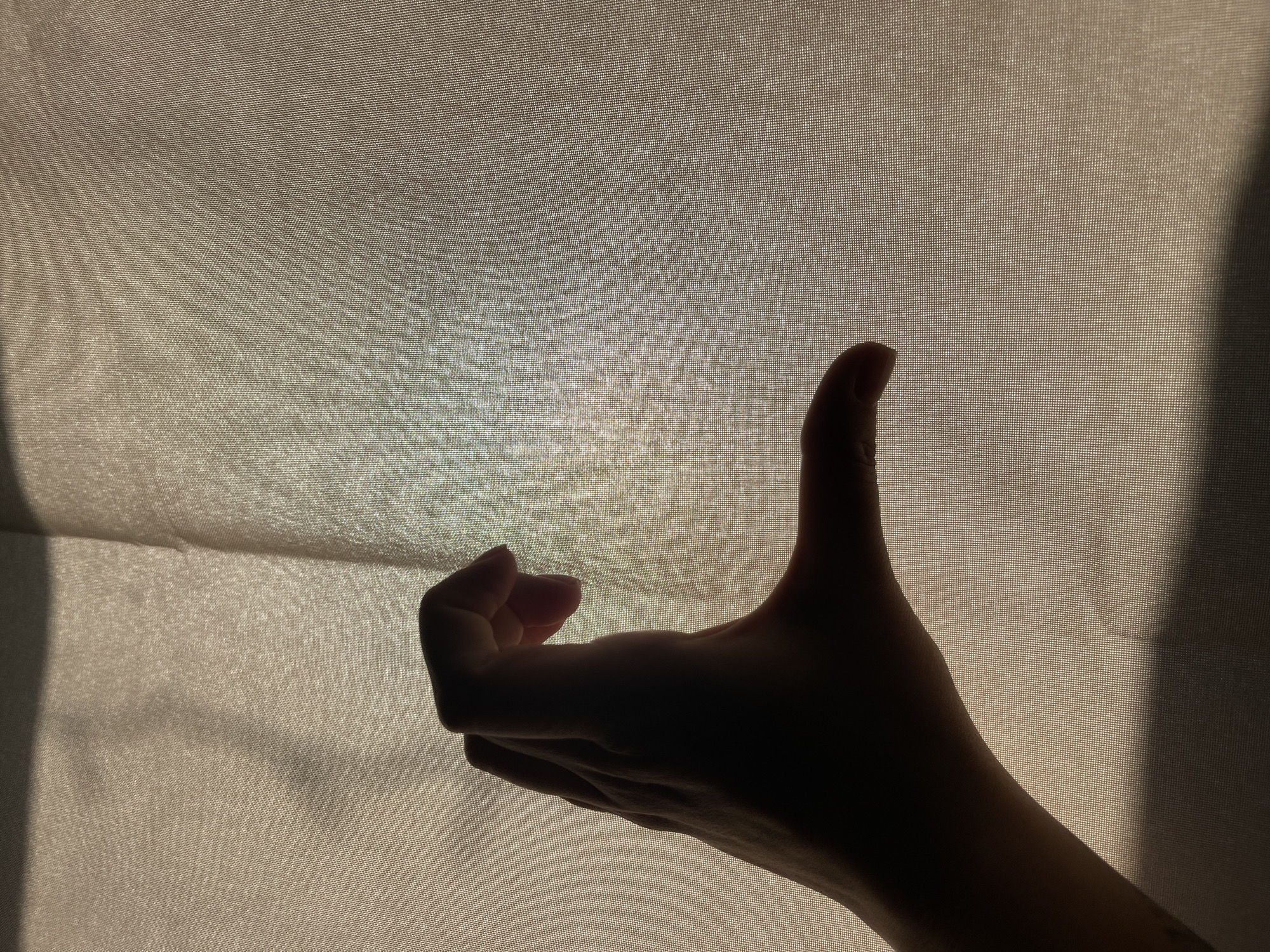 A dimly lit photograph presents a human hand silhouetted against a textured, screen-like background. The hand is positioned in the lower portion of the frame, with fingers curled inward except for the thumb which points upwards. The background consists of a translucent, possibly woven material, subtly illuminated from behind, creating shadows and variations in light intensity. The absence of strong light sources contributes to the high-contrast and muted tones. Location details seem out of context with the presented visual content, and thus, cannot be accurately included in the description.