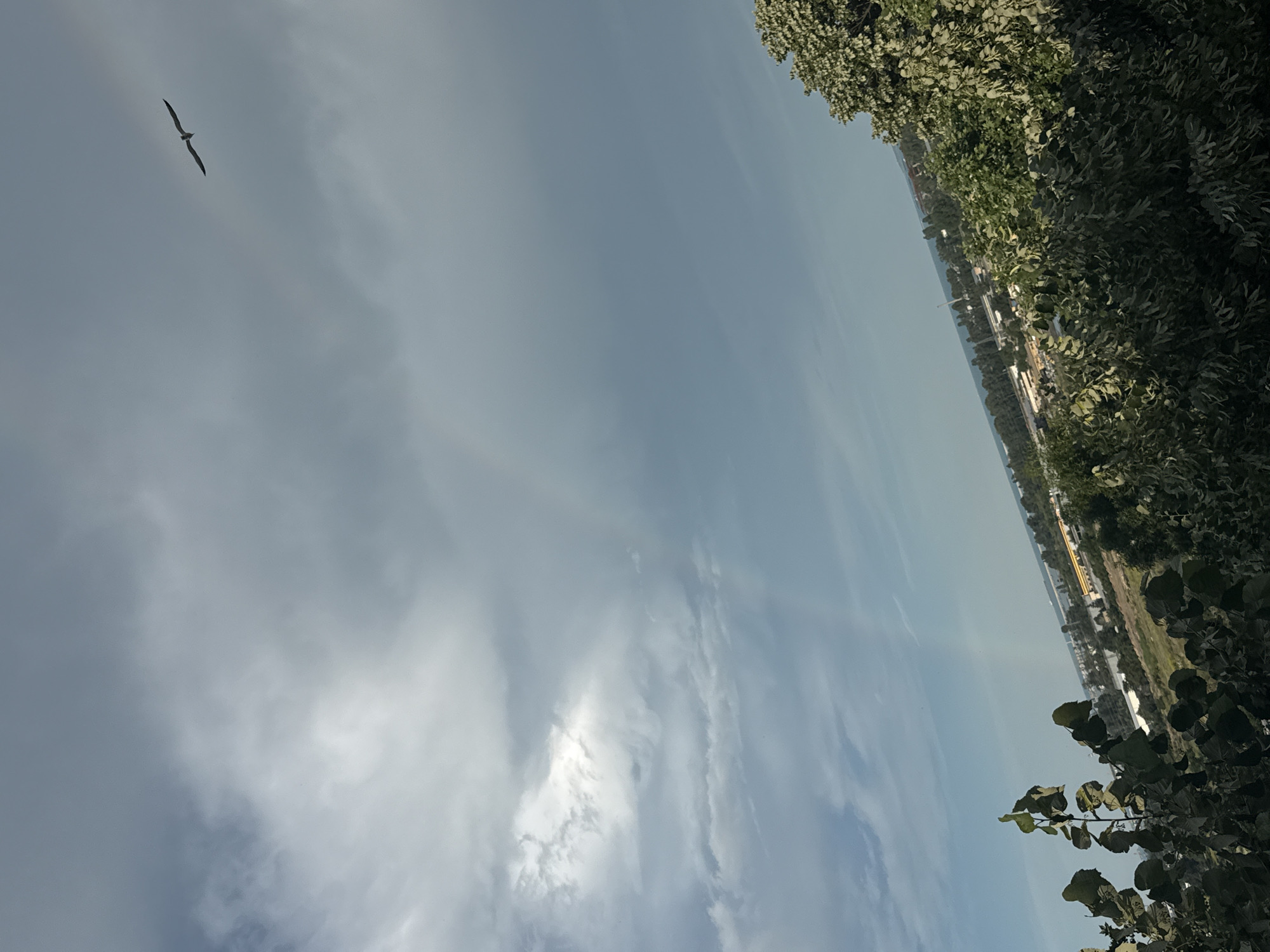 The image depicts a panoramic view of a coastal city with a partially visible rainbow against a cloudy sky. A bird, likely a seagull, is seen soaring in the upper right portion of the frame. In the foreground, lush green trees and foliage dominate, with some leaves visible in sharp focus. The middle ground reveals a cityscape with buildings, roads, and industrial structures, extending towards the horizon where the sea is discernible. The sky is characterized by dramatic clouds with patches of sunlight breaking through, creating a somewhat somber yet dynamic atmosphere. The perspective suggests an elevated viewpoint, possibly from a hill or a tall building overlooking the city of Burgas, Bulgaria, given the presence of coastal features and urban development consistent with the city's geography. The overall scene captures a moment of transition, perhaps after a rain shower, with a hint of nature's beauty in the form of a rainbow and the expansive sky.