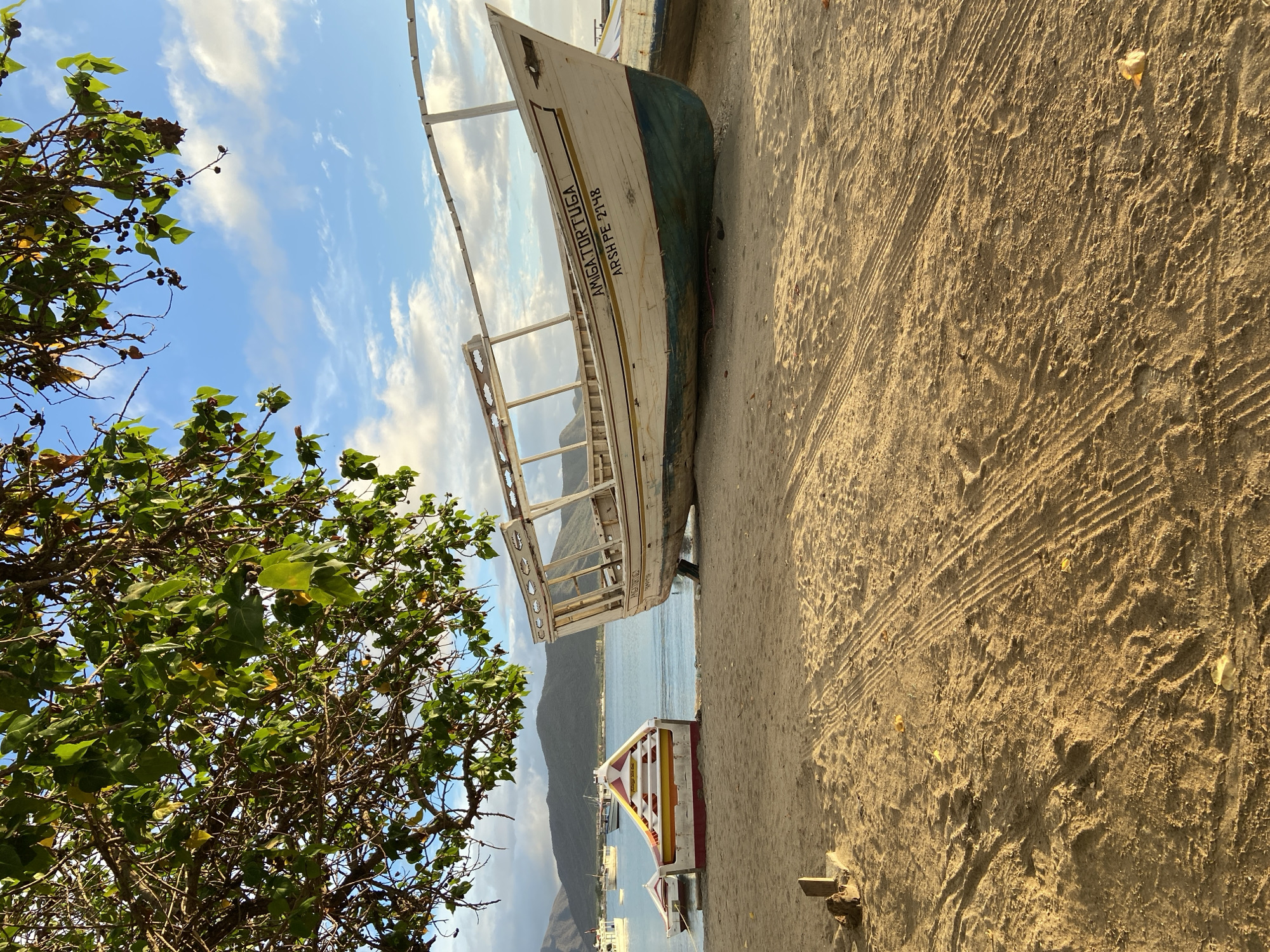 The image depicts a beach scene in Juan Griego, Venezuela, at what appears to be late afternoon due to the warm, golden light. In the foreground, sandy ground shows tire tracks and scattered leaves. A prominent wooden boat, weathered and with an unfinished superstructure, rests on the sand, its hull painted white with a turquoise base. The boat has the name "AMIGA TORTUGA" and "ARSH PE 2148" painted on its side. To the left of this boat, two smaller, colorful boats are also beached. One is brightly painted with red, yellow, and white stripes, and a smaller, white boat is next to it. In the background, the calm, blue water of the sea stretches towards a coastline with undulating, green mountains under a partly cloudy sky. Several other boats are visible further out on the water, some appearing to be larger vessels. Overhead, the branches of a leafy tree, with dark berries, cast shadows and frame the top of the image. The overall atmosphere is one of tranquility and rustic coastal life.