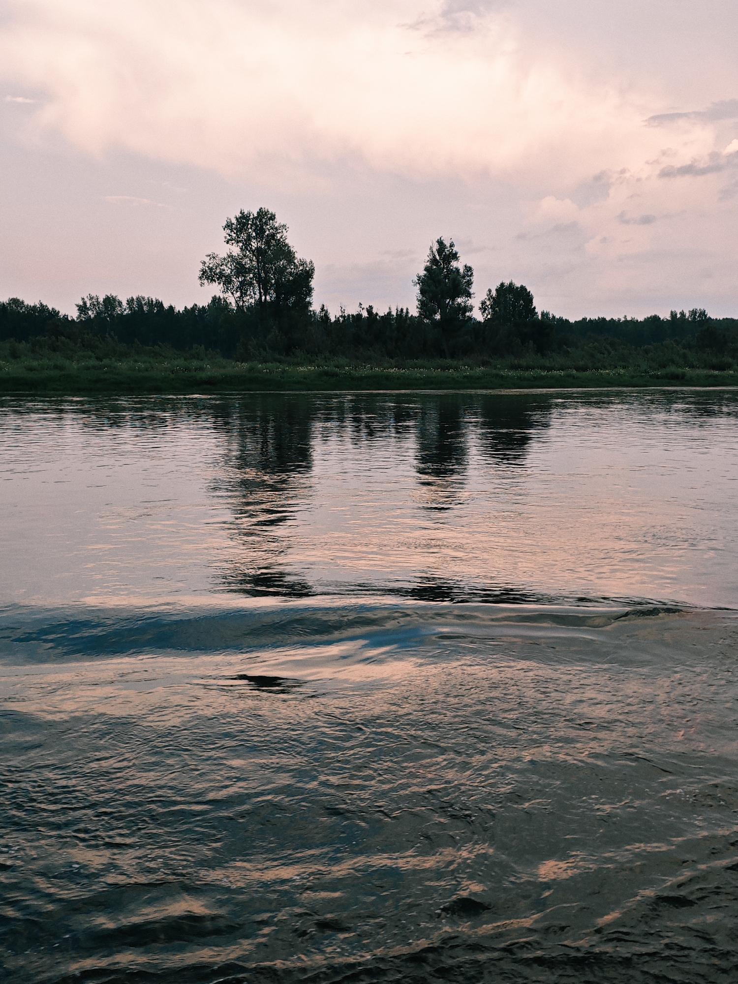 This is a serene, eye-level medium shot of the Angara River at dusk in Kazachinskoe, Russia. The sky is a soft, diffused pink and white, with subtle cloud formations. A dense line of dark green trees and foliage forms the riverbank, with two prominent, silhouetted trees rising above the rest. The water's surface is rippled, reflecting the soft colors of the sky and the dark shapes of the trees on the opposite bank. In the foreground, a small wave is captured in motion, its texture and depth contrasting with the calmer water further out. The overall mood is peaceful and tranquil, suggesting a quiet evening by the river.