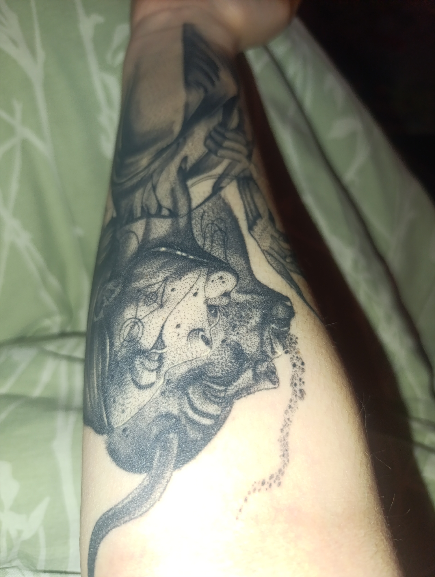 The image shows a forearm with a tattoo. The tattoo is predominantly black ink and depicts a complex design including what appears to be a mythical creature or monster with horns and detailed facial features. There is a dotted line extending from the creature's mouth or chin. The background includes a green and white patterned fabric, possibly a blanket or sheet. The location in Зипуново, Russia is irrelevant as the image doesn't offer any information related to this city.