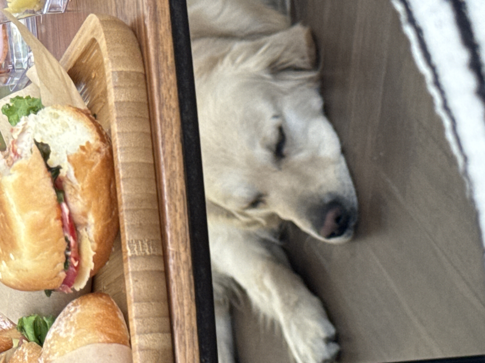 This indoor image from Yerevan, Armenia, presents a split scene featuring food on one side and a sleeping dog on the other. On the left, a light brown wooden serving tray holds a collection of food items, predominantly sandwiches or buns. A large, rustic-looking sandwich, likely a baguette, is cut open to reveal fresh green lettuce, red tomato slices, and what appears to be deli meat or cheese. It rests on crumpled brown parchment paper, with another smaller bun partially visible below it. A clear container with a yellowish substance is faintly visible in the upper left corner.
A dark vertical line, possibly a frame edge or partition, separates the food from a light-colored dog on the right side of the frame. The dog, resembling a Golden Retriever or similar breed, is sleeping soundly, with its eyes closed and its head resting on a light surface. Its light-colored fur appears soft and fluffy, and its dark nose is visible. The dog's front paws are extended, indicating a relaxed posture. Behind the sleeping animal, there is a soft, light-colored background with subtle vertical stripes in varying shades, possibly a blanket or part of a sofa. The scene suggests a calm and comfortable environment, perhaps a pet-friendly cafe or a home setting where the dog is resting near a meal. There is no visible text in the image.