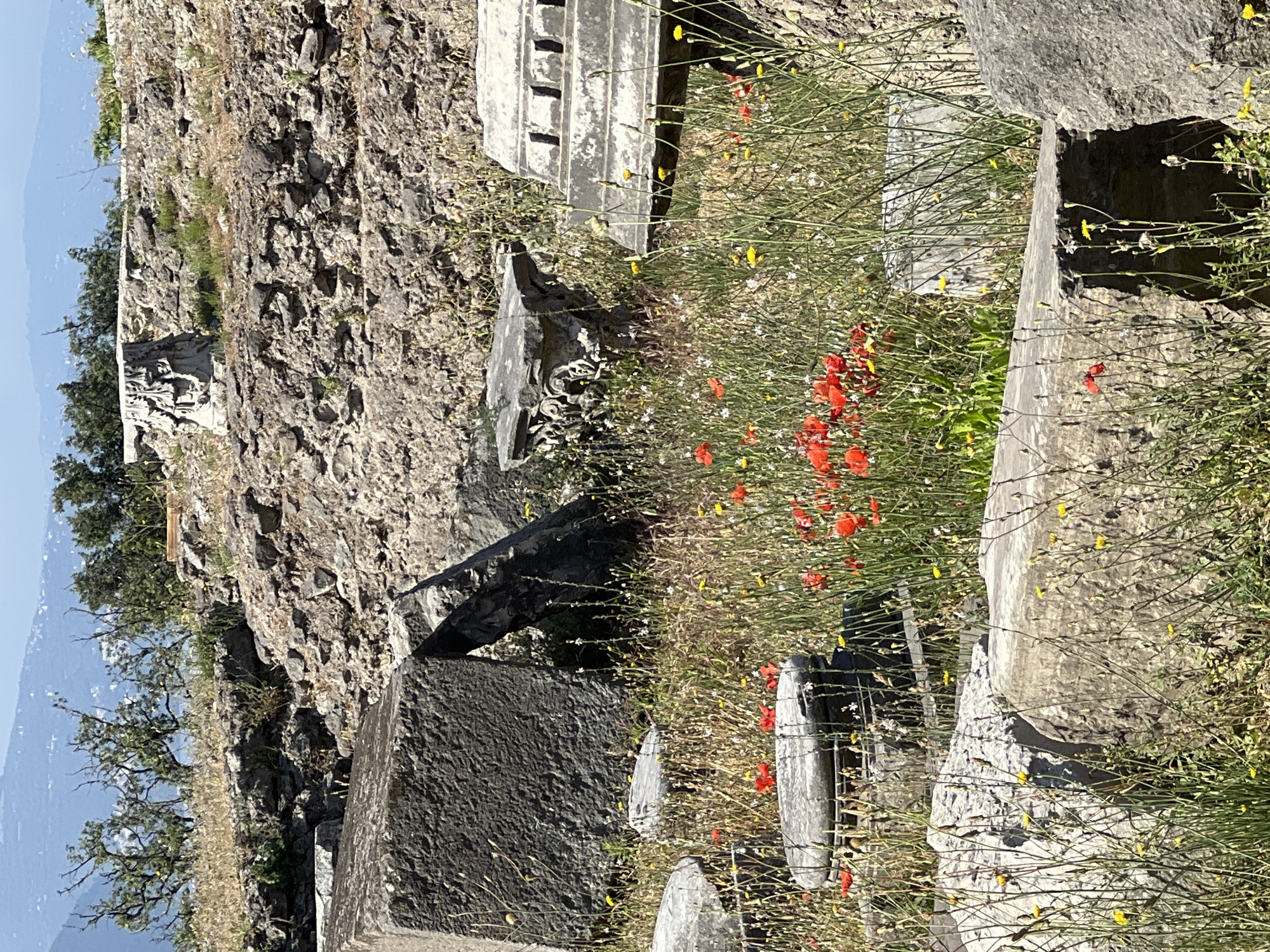 The image depicts the ancient ruins of Pompeii, Italy, under a clear blue sky. In the foreground, large stone blocks and fragments of ancient structures lie scattered amidst a field of wildflowers, predominantly red poppies and yellow and white smaller blossoms. The stones vary in size and condition, some appearing to be foundational elements, while others are intricately carved, suggesting architectural remnants. Behind the foreground ruins, a rough, rocky hillside is visible, dotted with sparse vegetation and more debris. Further in the background, a line of trees with dark foliage separates the ruins from a hazy, blue mountain range that forms the horizon. The overall scene conveys a sense of historical decay and the persistent beauty of nature reclaiming ancient sites. There are no people or animals visible in the image.