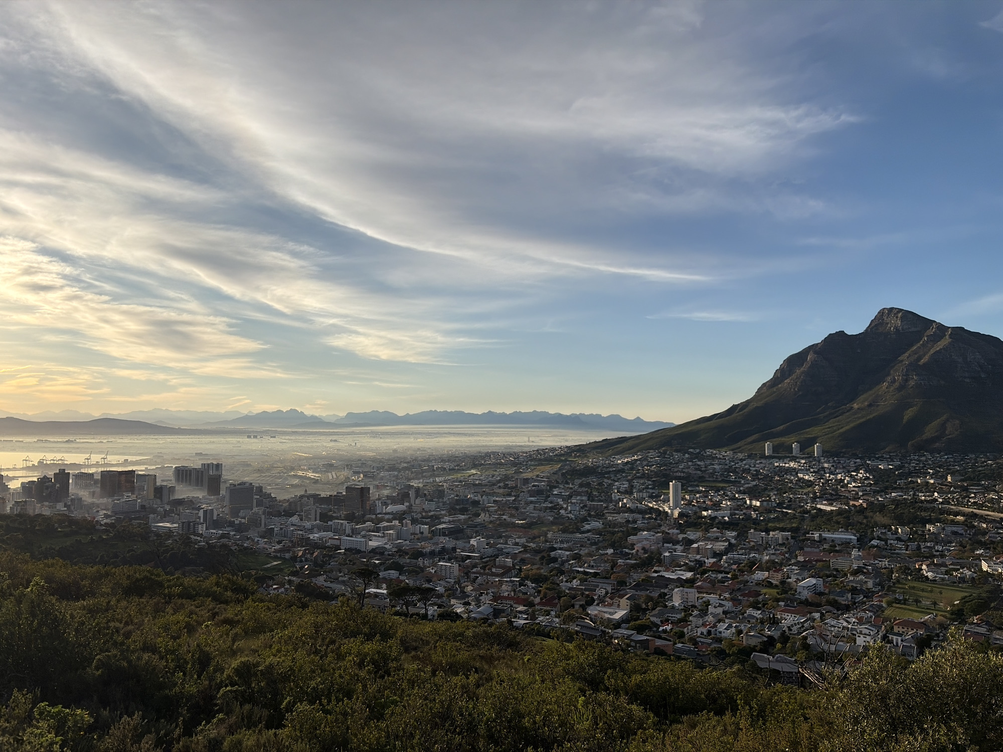 This image is an aerial view of Cape Town, South Africa, taken from Signal Hill looking towards the east. The foreground is dominated by lush green shrubbery and trees, characteristic of the vegetation found on the slopes of Table Mountain National Park.
In the mid-ground, the dense urban sprawl of Cape Town unfolds. Numerous buildings, ranging from low-rise residential houses with red-tiled roofs to mid-rise and taller office buildings in the central business district, are visible. The city stretches out towards the horizon.
Further in the distance, a faint mist hovers over the landscape, obscuring some of the finer details of the city and the port area. The port itself, with cranes and shipping containers, can be discerned near the water's edge on the left side of the image.
Dominating the right side of the frame is the imposing presence of Lion's Head mountain, its rugged slopes covered in vegetation. Beyond Lion's Head, the faint outline of the Atlantic Ocean can be seen.
The sky is a clear blue with streaks of wispy white clouds, particularly prominent in the upper left quadrant of the image. The lighting suggests it is either early morning or late afternoon, with the sun casting a warm glow on the distant mountains on the far left horizon. There are no people or animals visible in the image. The scene is static and depicts a panoramic view of the city and its natural surroundings.