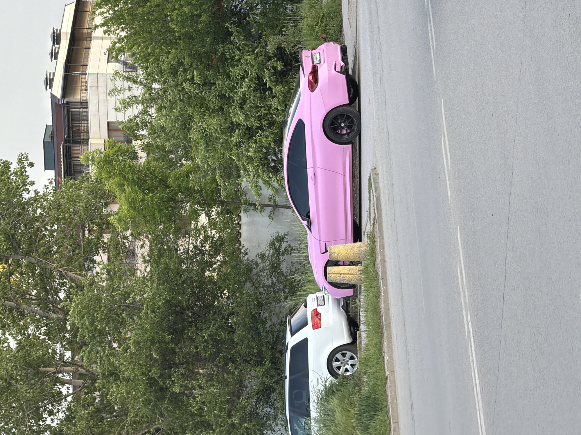 A pink sports car and a white van are parked on a roadside in Sofia, Bulgaria. The pink car is closer to the camera, with its rear end overlapping the front of the white van. The cars are parked on the edge of a road next to a grassy verge. Behind the vehicles is dense greenery and buildings.