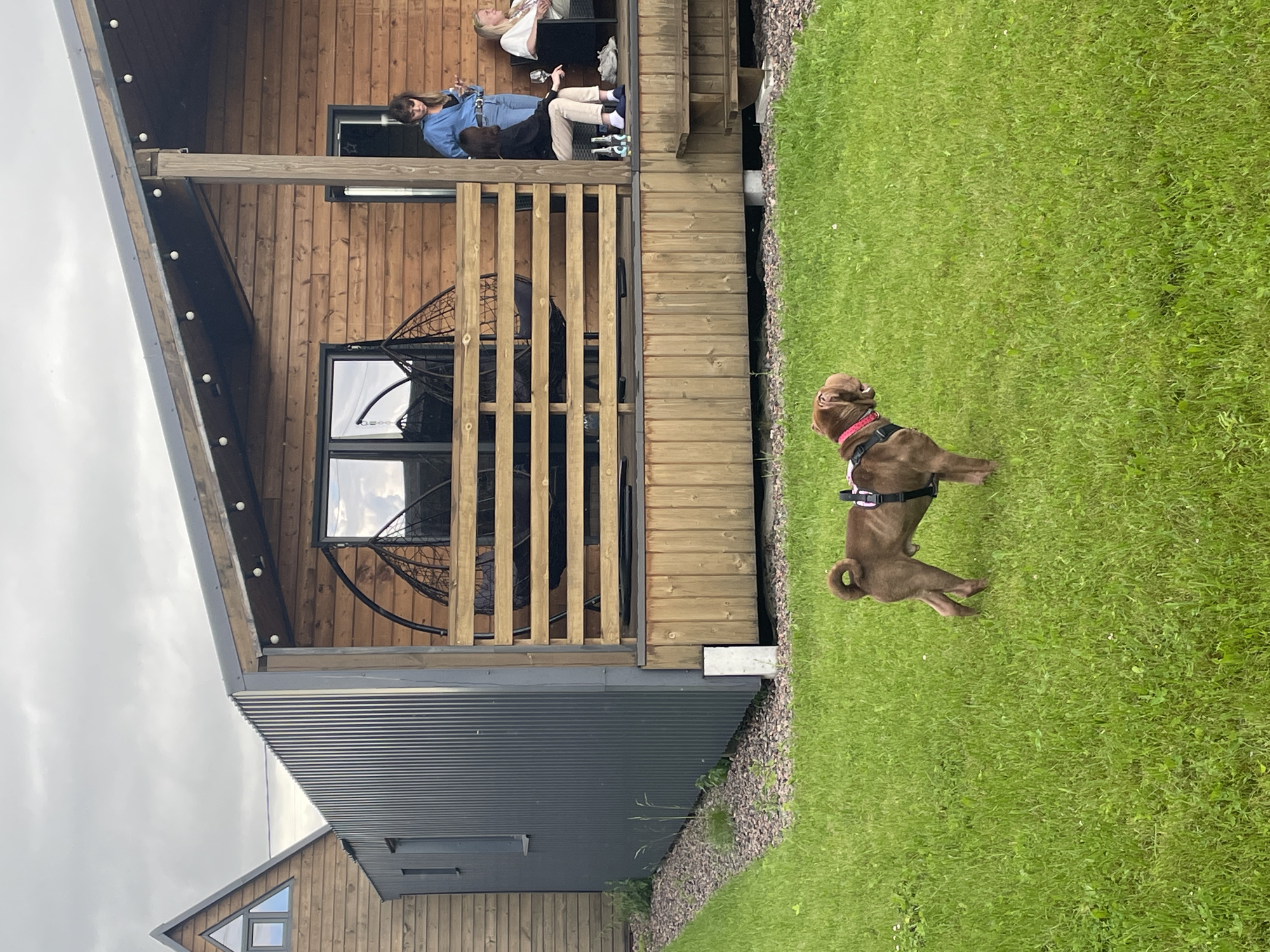 In Novo-Tuutari, Russia, on a cloudy day, a brown dog with a red collar stands on a lush green lawn in front of a modern wooden house with a dark metal siding extension. The house features a large porch with a wooden railing, where three individuals are seated. One person, wearing a blue denim jacket and jeans, stands on the porch, holding a glass and a phone. Another person, in a black top and light-colored pants, is seated, also with a glass. A third person, in a white top, is partially visible, seated in a chair. Hanging chairs are visible through the porch railing, suggesting an outdoor recreational area. The surrounding environment is characterized by a grassy yard and a gravel border near the house.