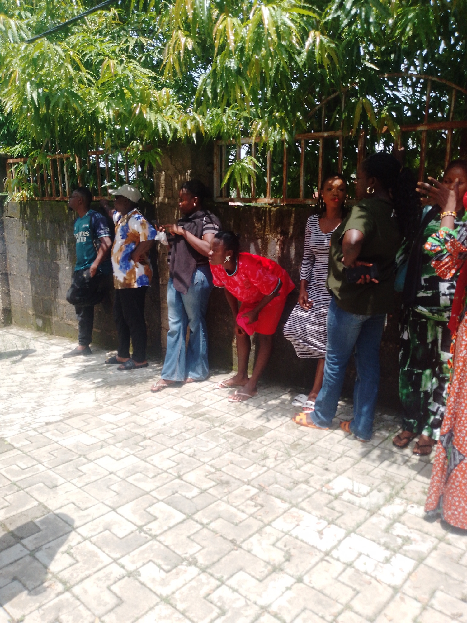 In Akwanga, Nigeria, a group of seven individuals, six women and one man, stand in a line beside a concrete wall and a rusted metal fence. The man, on the far left, wears a teal t-shirt and black pants. Next to him, a woman in a patterned shirt and dark pants points upwards. To her right, another woman in a black t-shirt and blue jeans looks down. Behind them, a woman in a black and white striped dress stands with her hand on her hip. A woman in a red dress is crouched slightly forward, holding a pink object. Two other women, one in a green and black patterned dress and the other in an orange and white patterned dress, stand further to the right. The ground is paved with interlocking concrete blocks. Lush green foliage hangs over the fence from above.