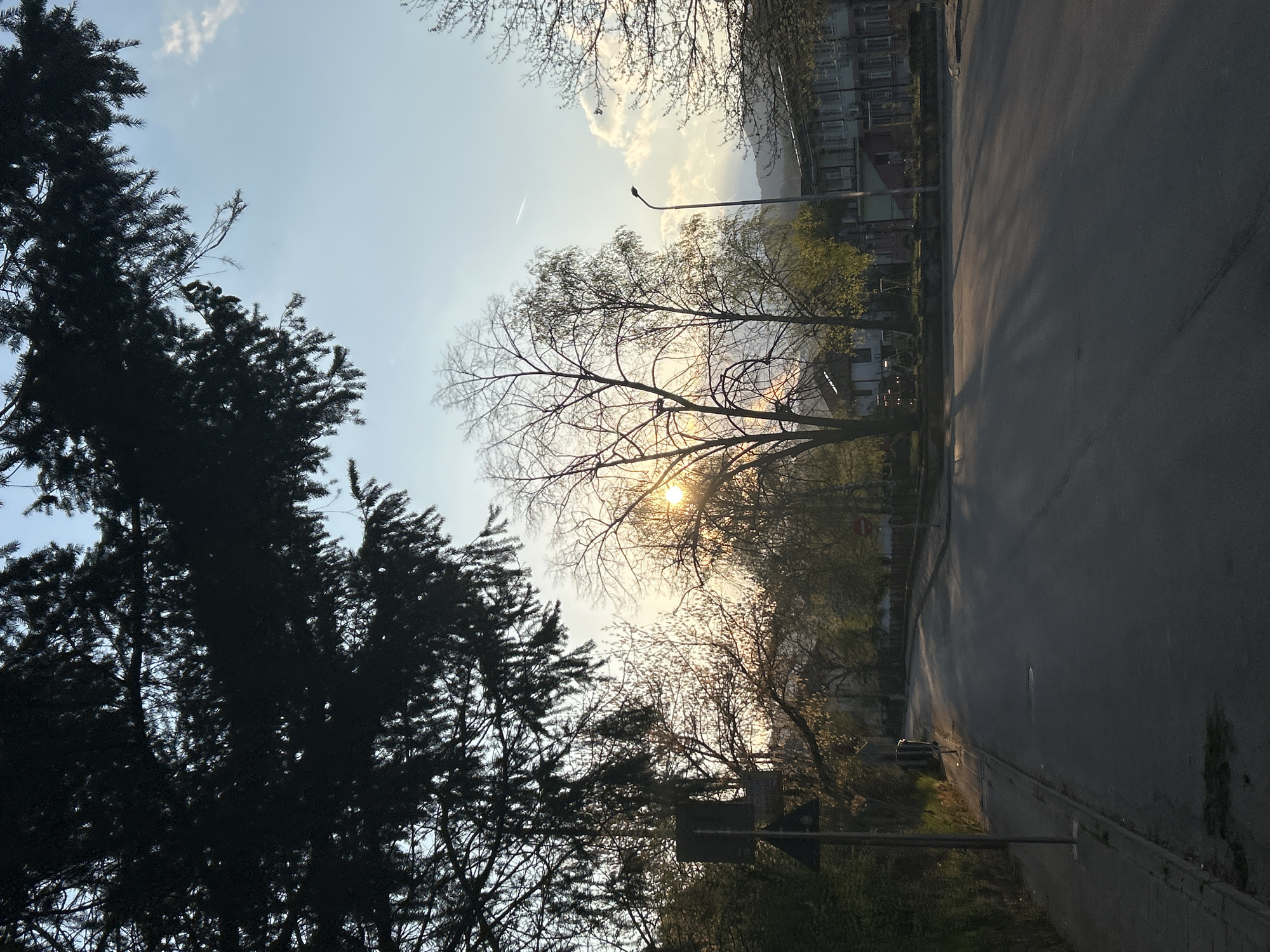 The image shows a street scene, likely in Zlatograd, Bulgaria, based on visual features and context clues. The street is paved and runs from the lower right to the upper right. Buildings line the left side of the street, some with visible windows. A streetlamp is visible on the left side of the street. Trees are present, both in silhouette on the left and with bare branches in the center of the image, where the sun is visible. The sky is blue with some clouds. A contrail from an airplane is visible. A traffic sign is on the left.