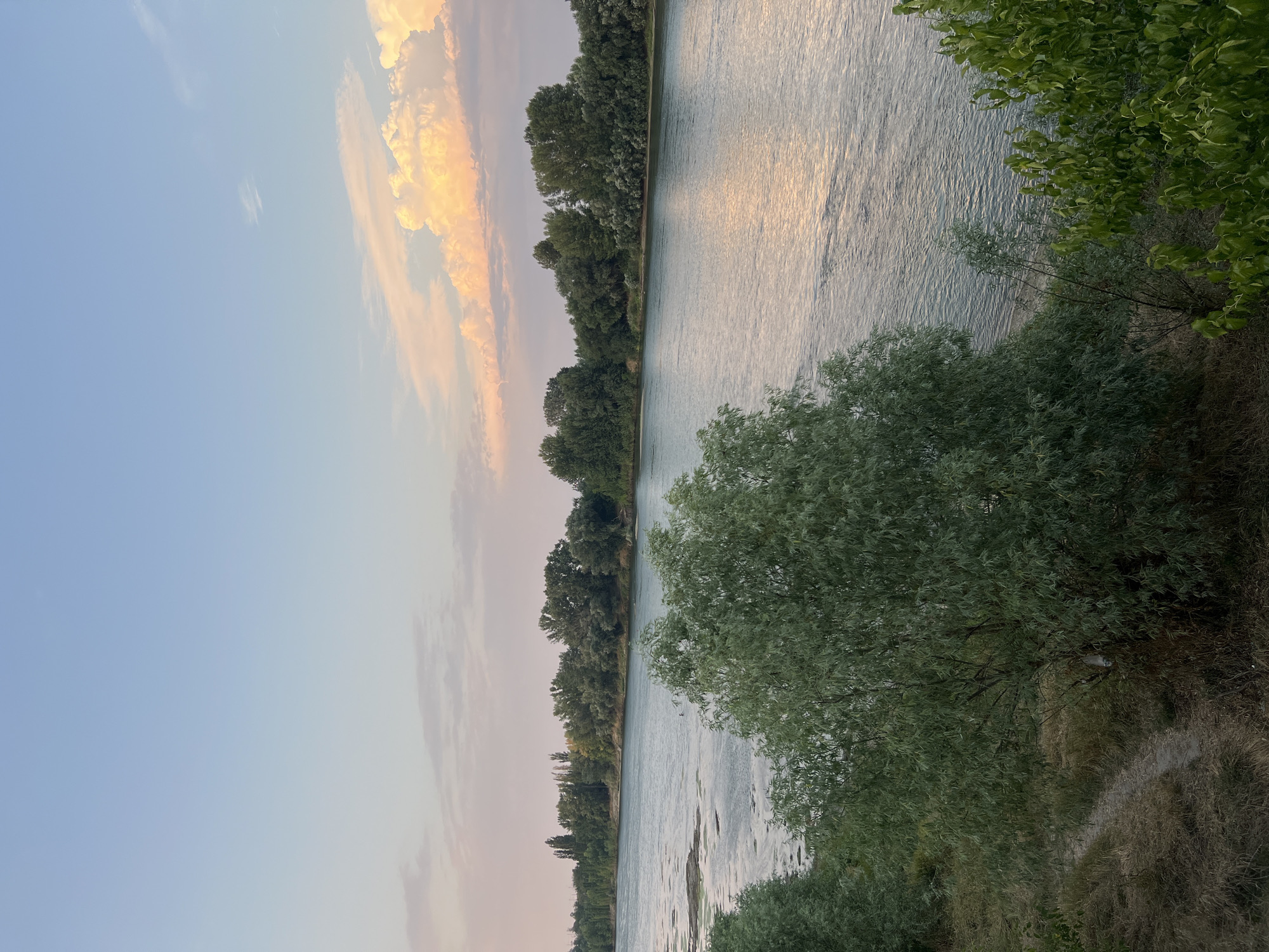 The image depicts a serene river scene at dusk, with a lush green shoreline. The river is calm and reflects the soft colors of the sky, which transitions from a pale blue at the top to hues of pink and orange near the horizon. Wispy clouds are scattered across the sky, with some larger, more defined clouds tinged with orange and pink light, suggesting the sun is setting.
The foreground is dominated by the thick foliage of trees and bushes, their leaves a vibrant green. A narrow, dirt path winds its way through the dry, grassy ground on the left side of the image.
The middle ground features the wide river, with patches of green algae or aquatic plants visible on its surface, particularly on the left side. The water is slightly rippled, creating subtle patterns of light and shadow. In the distance, across the river, a dense line of trees forms the far bank, with a few taller, thinner trees interspersed among them. The foliage on the far bank appears darker and more uniformly green than the trees in the foreground.
The overall impression is one of natural tranquility, characteristic of the Dnister River in Bender, Moldova, particularly during the evening hours. There are no people or animals visible in the frame.