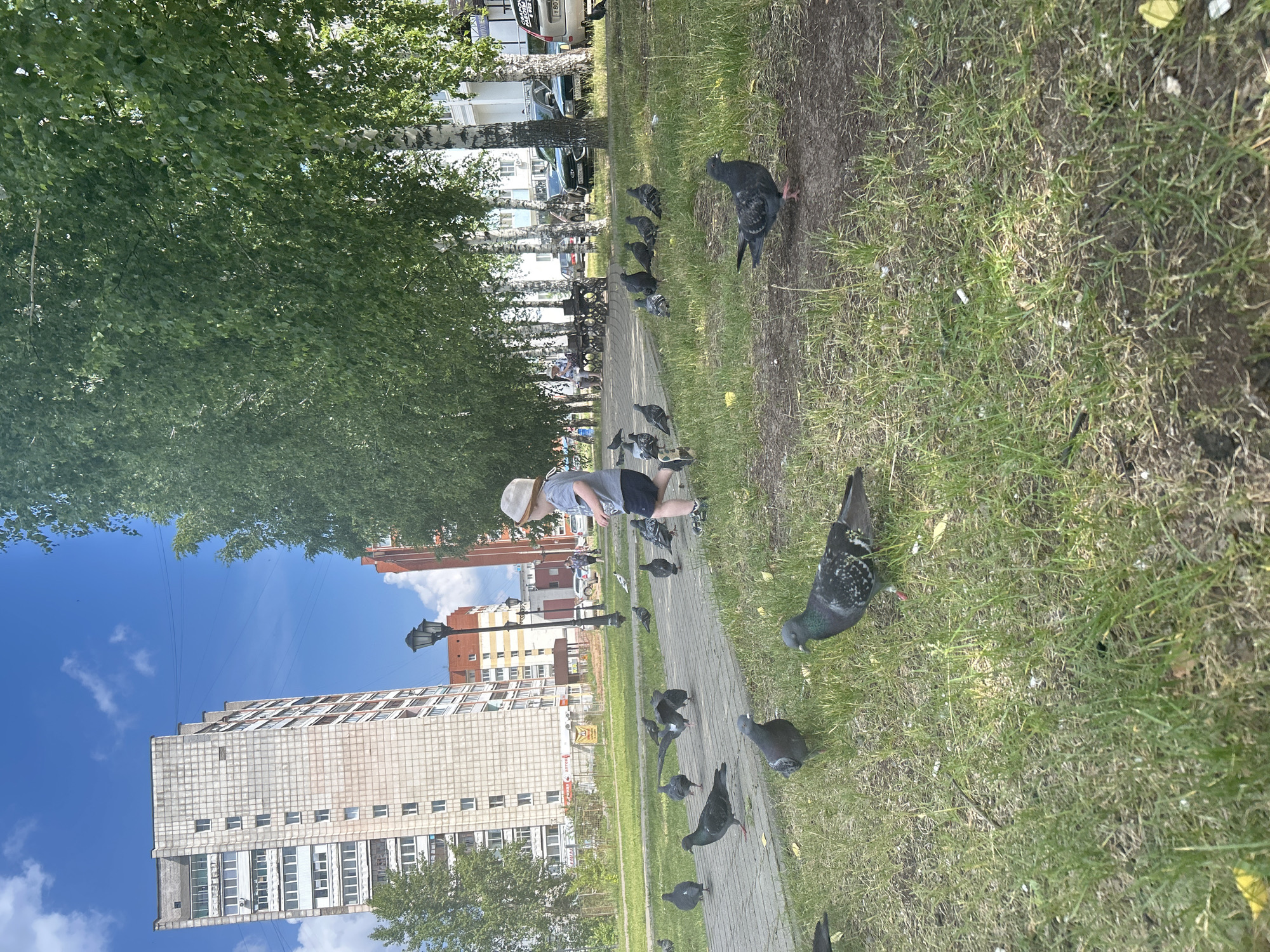 A young child wearing a straw hat and dark shorts is in a park in Chaikovsky, Russia, surrounded by pigeons. The child is standing on a paved walkway, and many pigeons are scattered around on the walkway and the adjacent grassy area. In the background, there are tall apartment buildings, birch trees, a lamppost, and parked cars. The sky is blue with scattered clouds. The scene appears to be a typical day in a residential area with a small park.