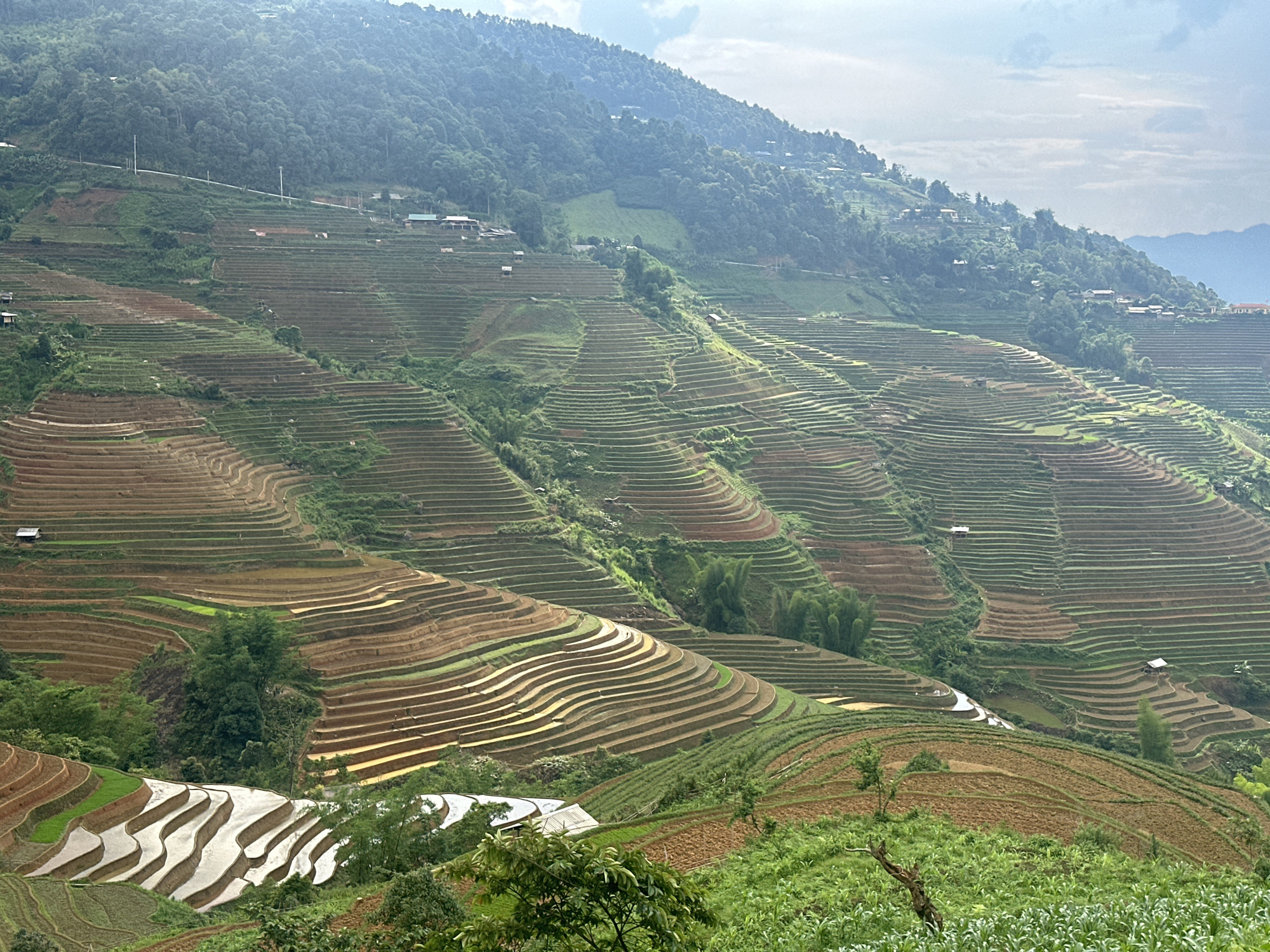 This wide-angle shot captures an expansive landscape of terraced rice fields cascading down steep mountainsides in Lao Chai, Vietnam. The scene is dominated by intricate patterns of agricultural terraces, which stretch across the image from foreground to background.
In the foreground and midground, the terraced fields display varying stages of cultivation. Some tiers are freshly tilled, revealing rich brown soil, while others are flooded with water, creating shimmering, reflective pools that mirror the sky. Patches of vibrant green indicate young rice shoots beginning to grow in some sections. The curves and contours of the terraces follow the natural topography of the mountains, creating a striking visual rhythm. Small, simple huts or farm buildings with light-colored roofs are scattered among the fields and on higher slopes, nestled within the verdant landscape.
The mountains are heavily forested with dense green trees, particularly noticeable in the upper portions of the image. The sky above is bright but hazy or partly cloudy, diffusing the sunlight and casting a soft glow over the scene. This suggests a daytime setting, possibly late morning or early afternoon, with no harsh shadows. In the distance, layers of mountains fade into the atmospheric haze. The overall impression is one of immense natural beauty combined with impressive human engineering for agriculture, showcasing a harmonious balance between human activity and the rugged mountain environment. There is no visible text in the image.