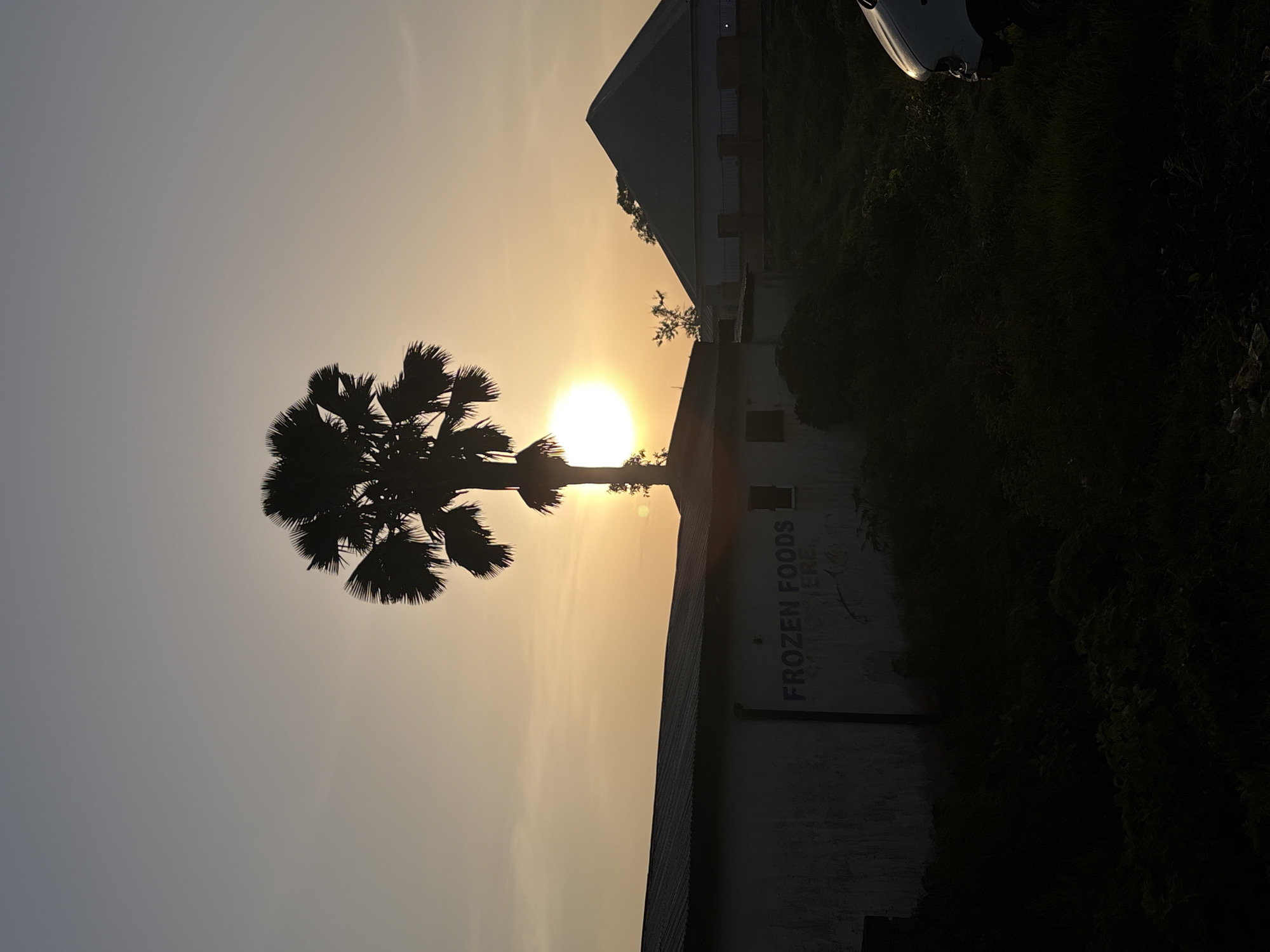 The image depicts a sunset scene in Bukuru, Nigeria. In the foreground, a silhouetted palm tree stands prominently against the sky. To the left, a building with a metal roof is visible, with the words "FROZEN FOODS HERE" painted on its side. To the right, another building with a pyramid-shaped roof is present, partially obscured by the palm tree. The overall lighting suggests late afternoon or early evening. The foreground is dark and filled with overgrown vegetation. The sky is a soft gradient of orange and gray, with the sun partially obscured by the palm tree. A portion of a white vehicle is visible on the far right edge of the frame, positioned in the overgrown area.