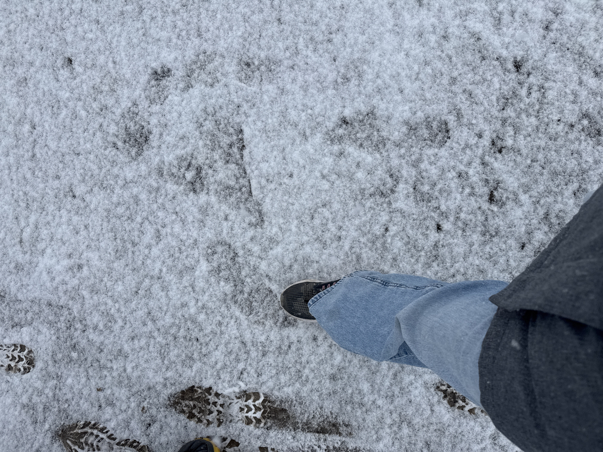 The image shows a view from above of a person standing on a patch of ground lightly covered with snow. Visible are the person's legs, wearing light blue jeans and a dark gray jacket. One foot is shod in a black sneaker, and a second foot is partially visible at the bottom of the frame wearing a yellow-accented shoe. Several footprints are visible in the snow. The ground appears to be partially exposed beneath the snow cover. The location is unknown as there are no visible landmarks to indicate the city of Gory, Russia.