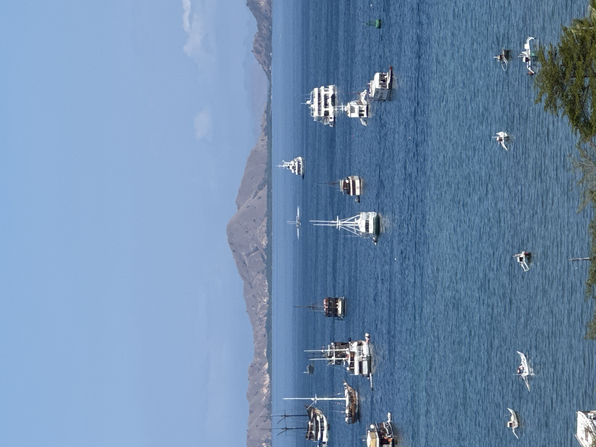 This is a high-angle, eye-level, medium shot of a bay filled with numerous boats of varying sizes in Labuan Bajo, Indonesia. The water is a deep blue, with gentle ripples reflecting the clear, light blue sky above. In the background, a chain of dry, brown, and green hills forms the coastline, with a few scattered clouds.
The foreground and midground are populated by a diverse fleet of boats. The most prominent are several large, multi-decked white vessels, some with multiple masts and intricate rigging. There are also several smaller, darker-hulled boats, some appearing to be traditional fishing vessels or dive boats. In the lower portion of the image, three small, narrow boats with outriggers are visible, with at least one person on board one of them. Further out in the bay, more boats are scattered, some appearing to be anchored. A single green buoy is visible to the right of the frame. The scene suggests a busy harbor or anchorage area.
