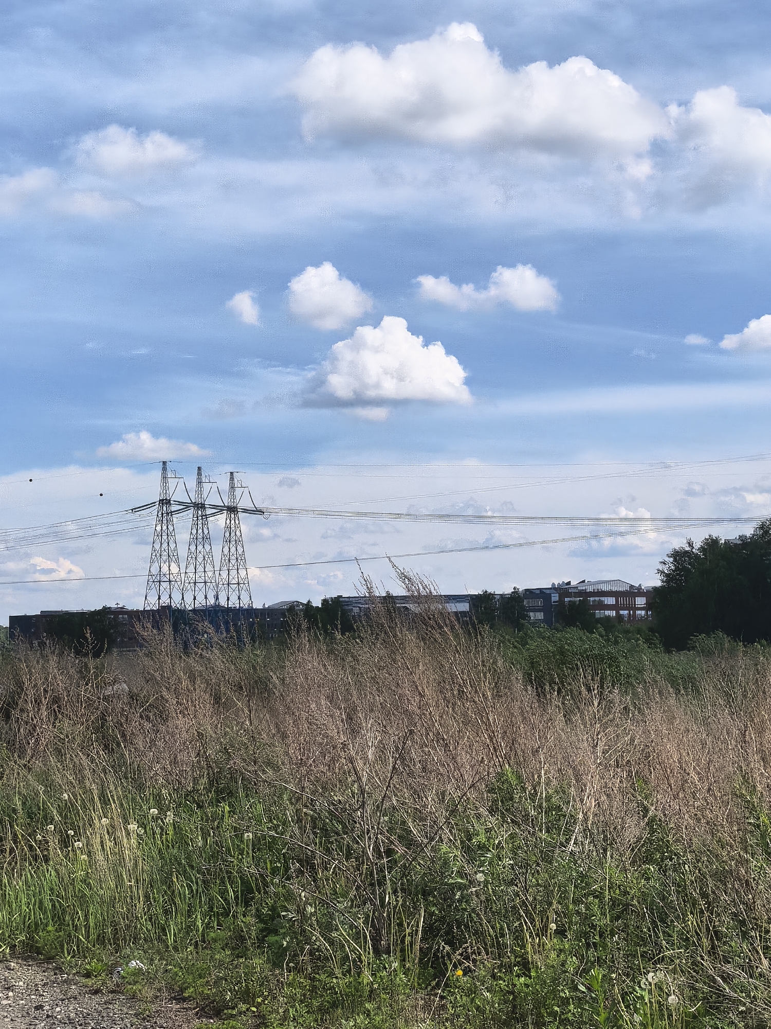 The image shows a grassy field in an urban environment. In the background, there is a high-voltage power line supported by lattice towers, and behind that, a building or complex of buildings. The sky is blue with scattered cumulus clouds. The field in the foreground is a mix of green and brown grasses, some of which appear dried or dead. A small gravel path is visible at the bottom left.