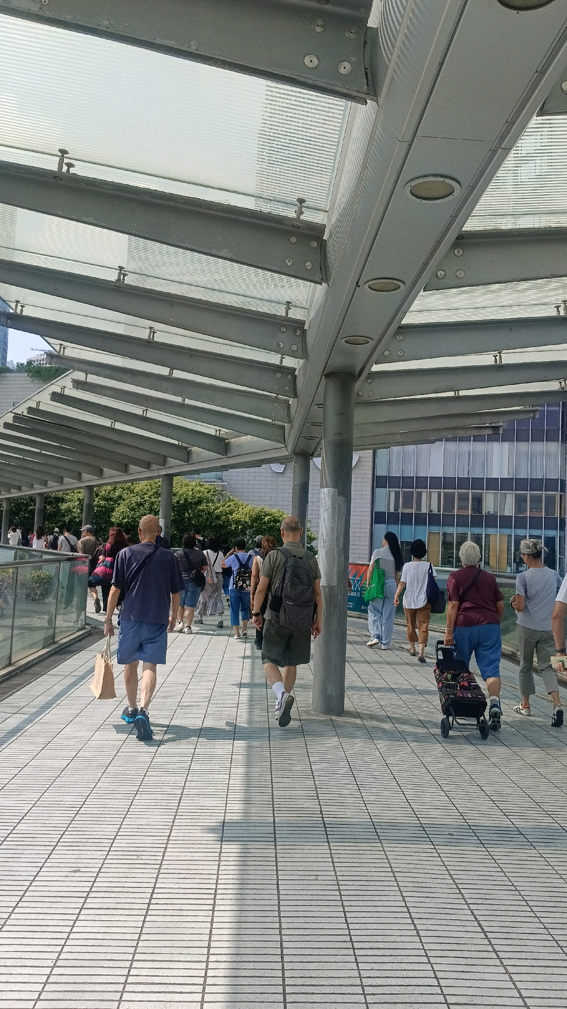 An eye-level, outdoor, medium shot captures a busy pedestrian walkway in Hong Kong, China. The walkway is covered by a modern, angular structure with a translucent roof supported by metal beams and columns. Sunlight filters through the roof, casting long shadows on the tiled floor. A diverse group of people are walking in various directions, suggesting a public thoroughfare. In the foreground, a bald man in blue shorts and a dark t-shirt walks away from the camera, carrying a brown paper bag. To his right, another man in dark green shorts and a t-shirt with a backpack walks in the same direction. Further ahead, a woman in a maroon top and blue shorts pulls a shopping cart with a patterned bag. Other pedestrians are visible in the midground and background, some carrying bags and wearing casual attire. Behind the walkway, lush green trees line the background, partially obscuring a modern building with a glass facade. The scene conveys a sense of urban movement and daily life in a bustling Hong Kong environment.