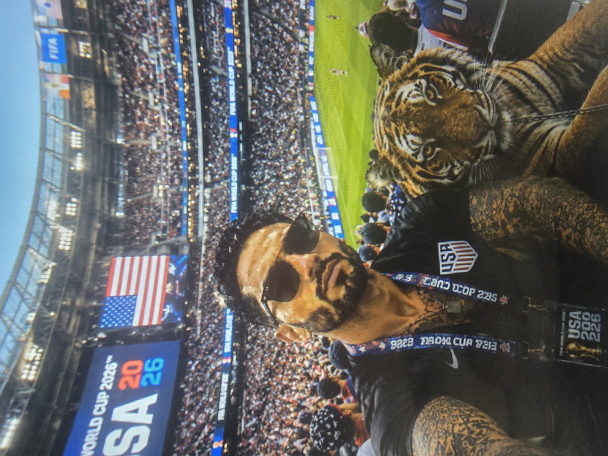 This media file captures a dynamic scene at a soccer match, likely the World Cup. The primary subjects are a man with sunglasses and a tiger lounging beside him. The man appears to be a spectator, possibly at a VIP event, as indicated by the tiger's presence and the professional camera setup. The tiger is adorned with a chain, and the man is wearing a dark shirt with a USA logo and lanyards. One lanyard displays "USA WORLD CUP 2026" and the FIFA World Cup trophy, suggesting the event is related to the 2026 World Cup.
The background is filled with a stadium packed with spectators, viewed from a high vantage point. Bright stadium lights illuminate the scene, hinting at an evening or indoor event. The field is a vibrant green, with subtle markings visible. The overall atmosphere seems celebratory and exciting, with the presence of a tiger adding a unique and unexpected element to the typical sporting event. The man's expression, partially obscured by sunglasses, is difficult to discern, but the context suggests enthusiasm and engagement with the event. The bright, saturated colors indicate a well-lit and possibly sunny day, or a powerfully lit stadium. The text visible confirms the association with the FIFA World Cup and the USA's involvement.