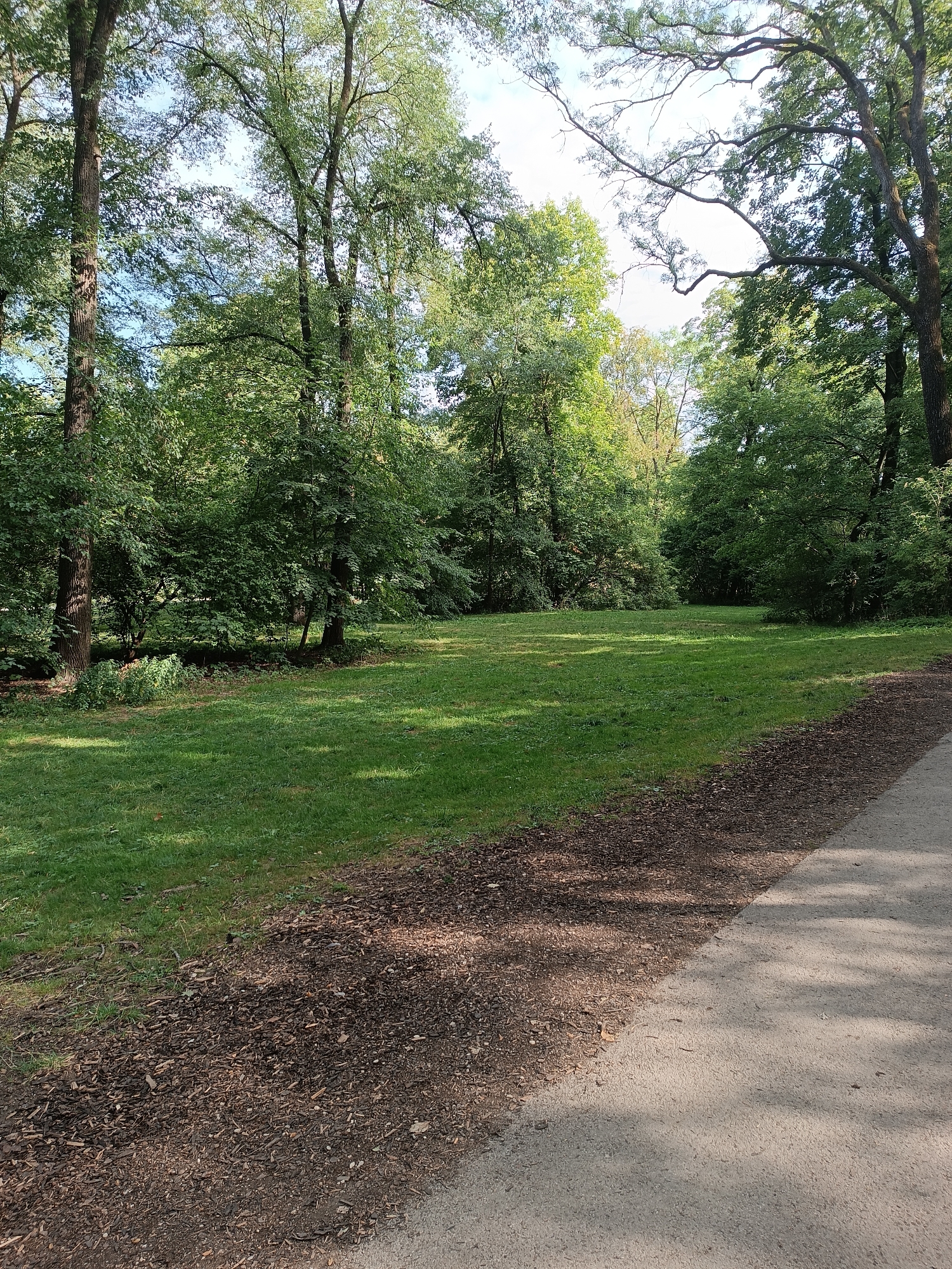 The image shows a sun-dappled clearing in a park, with a gravel path bordering the grass on the right side. Tall, leafy trees with thick trunks surround the clearing, creating a dense forest canopy that allows sunlight to filter through in patches. The ground is covered with green grass on the left and a mixture of mulch and dirt on the right, adjacent to the path. The overall impression is of a serene and natural setting within a park.
This scene is located in the Westpark in Munich, Germany, specifically in the area known as the Rosengarten (Rose Garden), which features a large open lawn surrounded by trees and a meandering path.