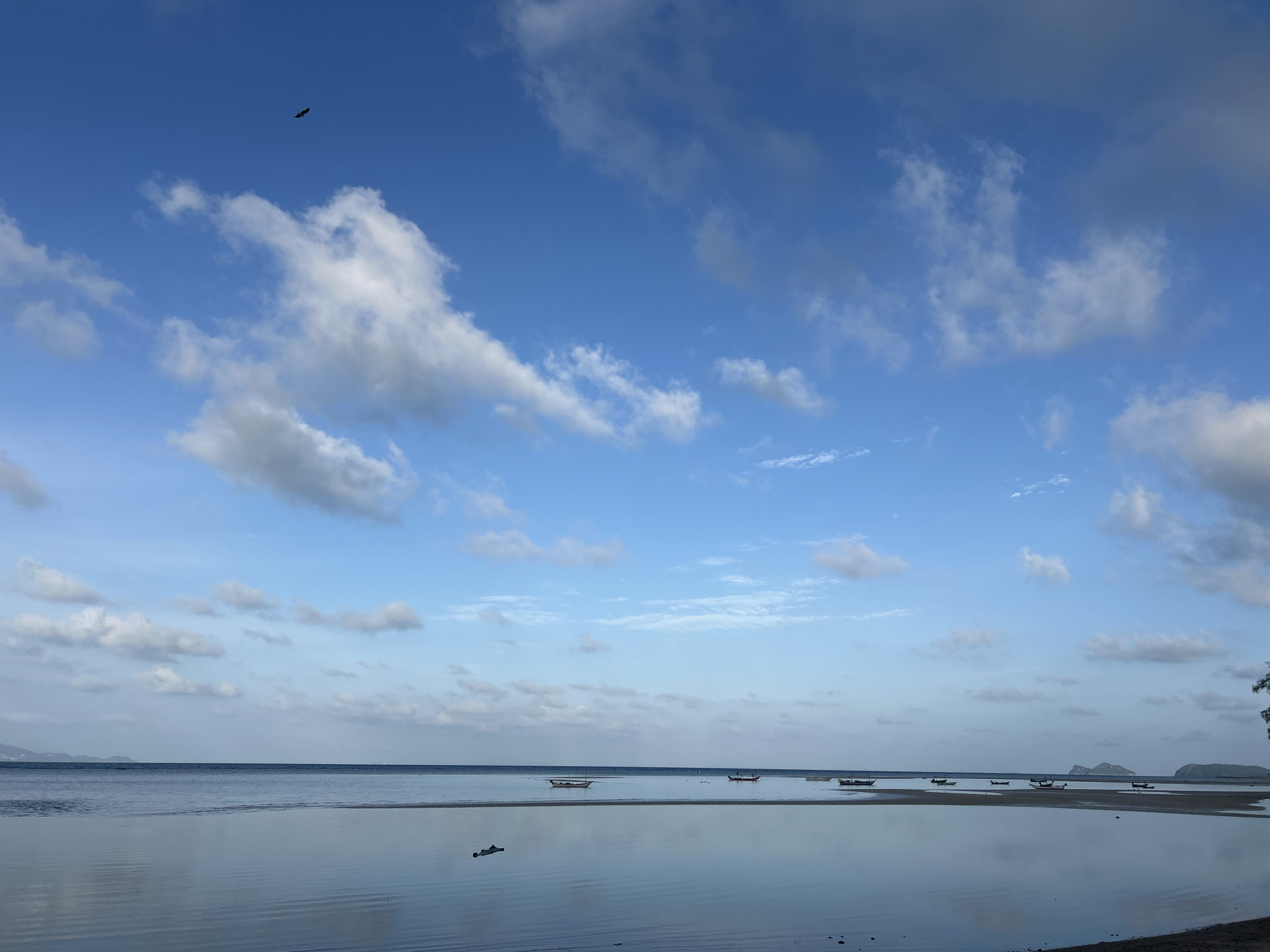 A wide shot captures a serene coastal scene in Ko Pha-ngan District, Thailand. The sky is a vibrant blue, dotted with fluffy white clouds, with a lone bird in silhouette soaring high in the upper left quadrant. The calm sea stretches across the horizon, its surface reflecting the sky with a glassy sheen. Several small, traditional wooden boats are anchored in the shallow water, appearing as dark shapes against the lighter hues of the sea and sand. A strip of dark sand or mudbank is visible in the foreground, also reflecting the sky, and on this bank, there are a few dark objects, possibly debris or small rocks. In the distance, the hazy outlines of islands or hills can be seen along the horizon. The overall impression is one of tranquility and natural beauty.