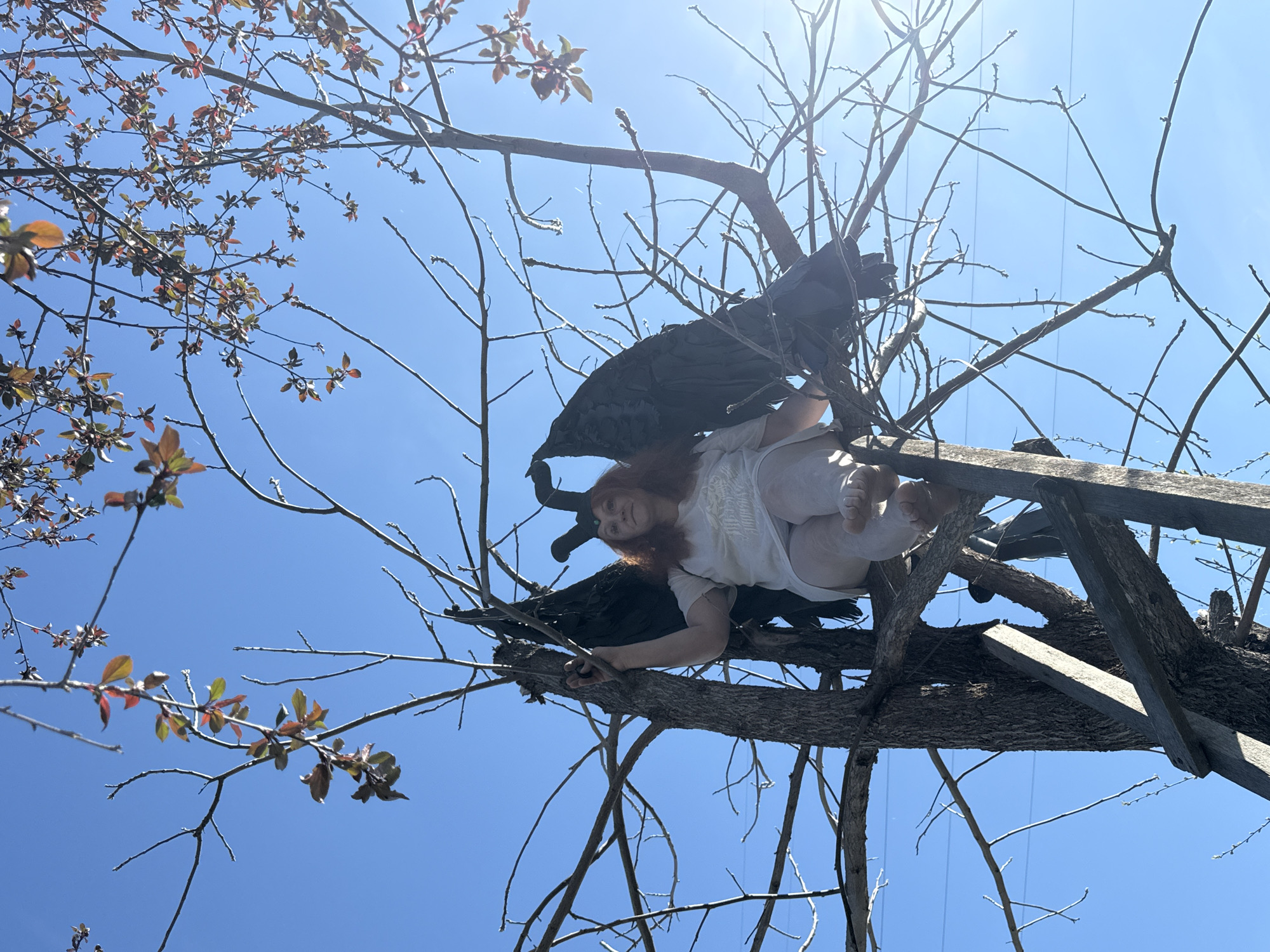A low-angle shot shows a woman partially obscured by branches and a dark object, possibly fabric, lodged in a tree against a bright blue sky. The woman has red hair, fair skin, and is wearing a white shirt. Her feet are bare and visible. The tree has bare branches and some with small, reddish-brown leaves. A wooden structure is also interwoven with the tree branches. Overhead electrical wires are visible. The location is speculated to be the city of Chaikovsky, Russia.