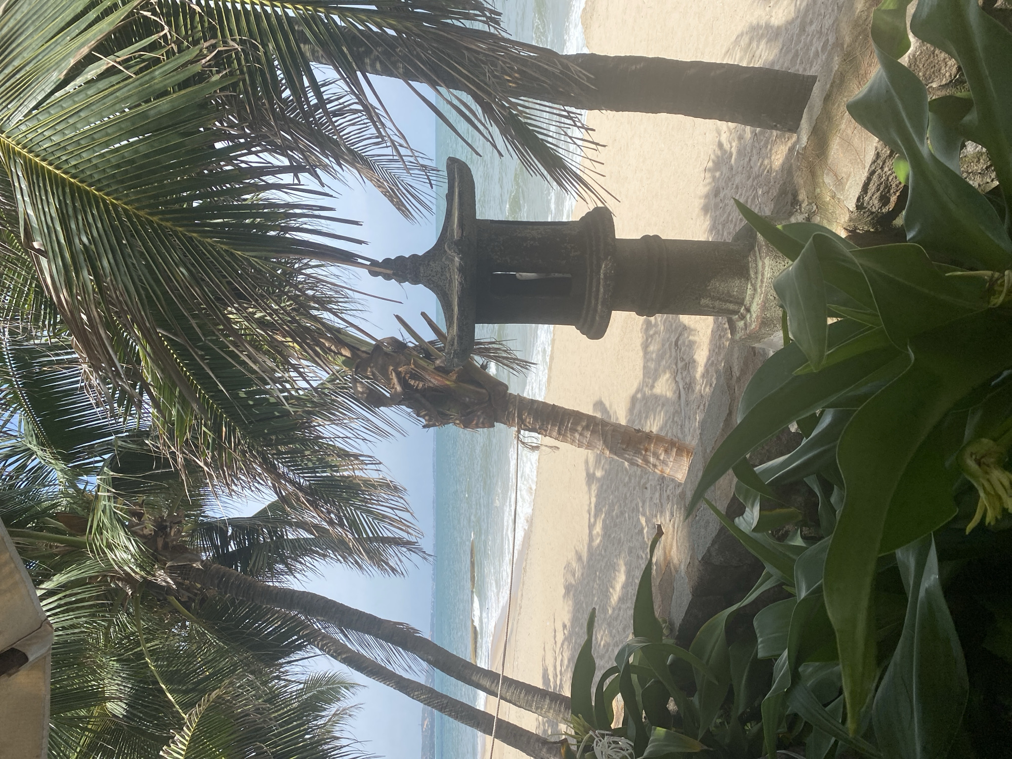 An outdoor, eye-level, medium shot shows a tropical beach scene. In the foreground, lush green plants with large leaves are in focus. Behind them, a weathered, stone pagoda-style lantern stands on the sand, with palm trees to its left and right. The beach is sandy and empty, with a rope line strung between two palm trees in the mid-ground. Gentle waves break on the shore, and the turquoise ocean extends to the horizon under a hazy blue sky. The scene is likely in Phu Thuy Ward, Vietnam, suggested by the typical tropical foliage and coastal setting.
