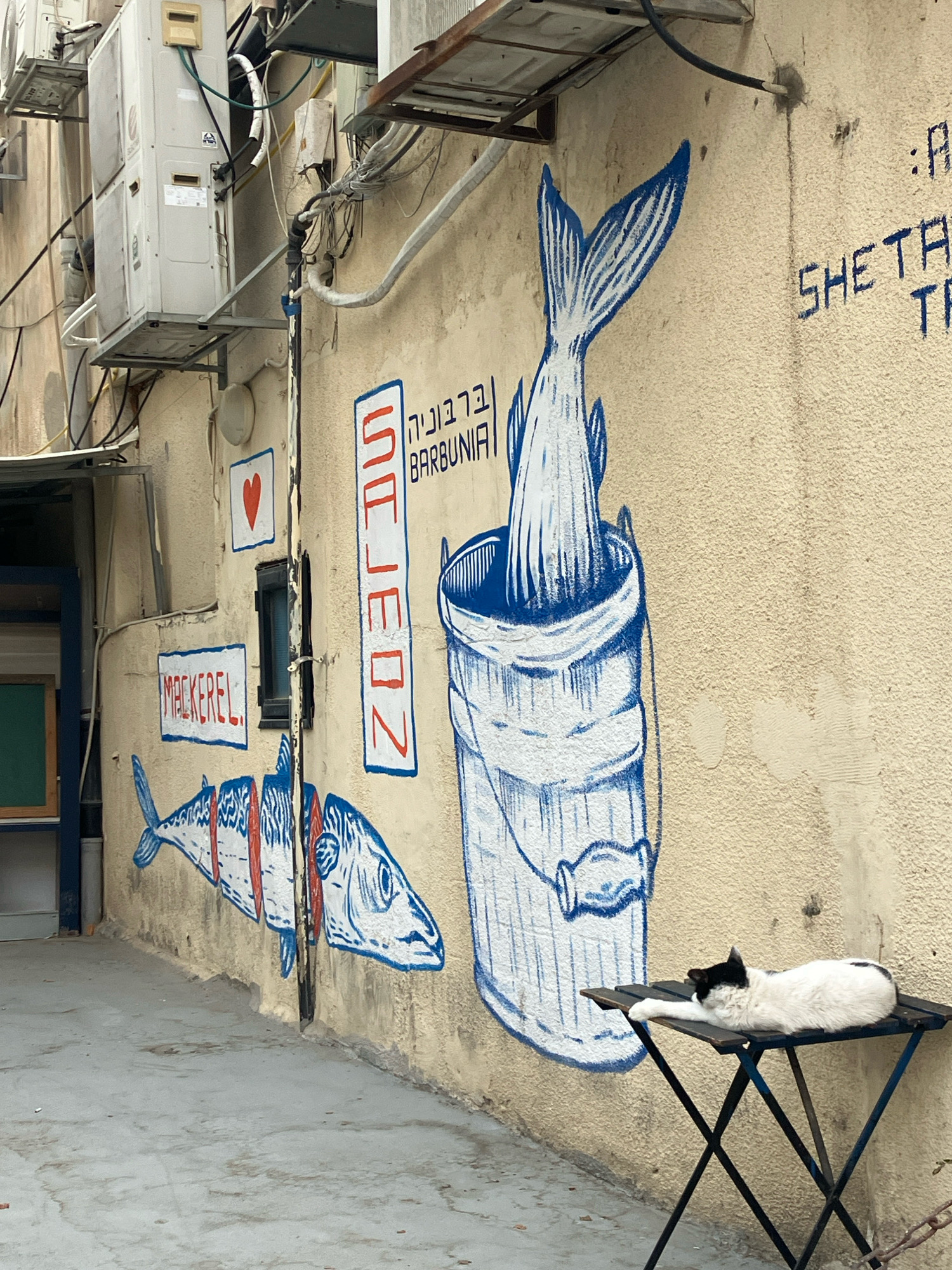 The image depicts a narrow alleyway in Tel Aviv, Israel, characterized by a textured, beige-colored wall adorned with vibrant blue and red street art. On the left, a partial view of an outdoor seating area reveals a green chalkboard and metal furniture. The wall displays two distinct murals: one features a sliced mackerel with red accents and the word "MACKEREL" in a red rectangle, and a small red heart above a dark window. To the right of the window, a larger mural depicts a fish being drawn into a bucket, accompanied by Hebrew text that reads "ברבורניה BARBUNIA" and further Hebrew text with the word "SHETACH". The scene is completed by a black and white cat sleeping peacefully on a small, foldable black metal table positioned in front of the wall art. Electrical conduits and air conditioning units are visible mounted on the wall and overhead, indicating an urban setting.