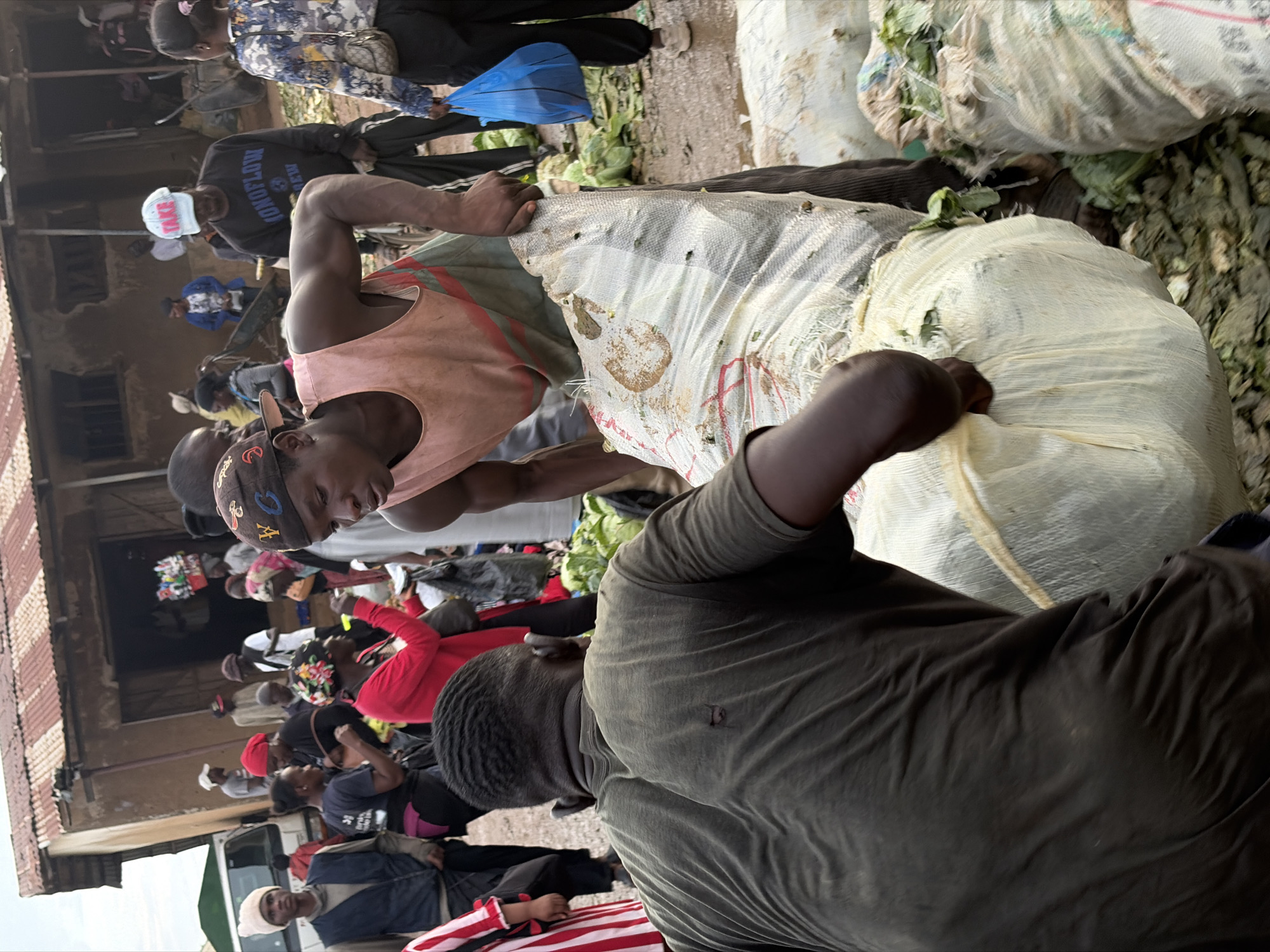 This image depicts a bustling outdoor market scene, likely in Gura Top, Nigeria. In the foreground, two men are actively engaged in moving large, white, woven sacks filled with produce, possibly vegetables like cabbage. One man, wearing a dark green t-shirt with a hole in the back, is positioned behind the sacks, appearing to push or steady them. The other man, with a pink tank top over a green and red striped garment, is in front, gripping a sack and leaning into it. The sacks themselves are dirty, with some organic matter and what appear to be flies visible on the surface of one.
The background reveals a lively marketplace with numerous individuals. A building with a corrugated metal roof, appearing weathered and aged, serves as a backdrop. The building's facade is a rough, earthy color. Several people are standing around, some interacting with each other. To the left, a white commercial van is partially visible. To the right, more sacks of produce are piled, and a woman in a floral blouse is holding a bright blue plastic bag. The ground is unpaved and appears to be dirt or mud, with scattered debris and leaves, indicative of an active, working market environment. The overall atmosphere suggests a busy commercial exchange.