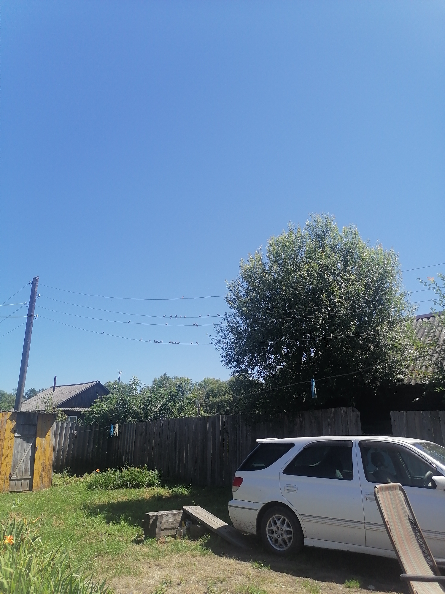 In Novopokrovka, Russia, a white station wagon is parked in a yard on a sunny day. The car is positioned on a slight incline, with its rear facing towards the right of the frame. In the background, a weathered wooden fence runs horizontally across the image, separating the yard from a densely wooded area. To the left of the fence, a yellow wooden door is visible, attached to a building with a grey, corrugated roof. Overhead, power lines are strung between a utility pole on the left and unseen supports further to the right. Numerous small birds are perched on these power lines. A large, leafy tree dominates the central-right portion of the background, its branches extending towards the clear blue sky. The yard itself is covered in green grass, with some patches of dry earth. To the right of the car, a striped lounge chair is partially visible.