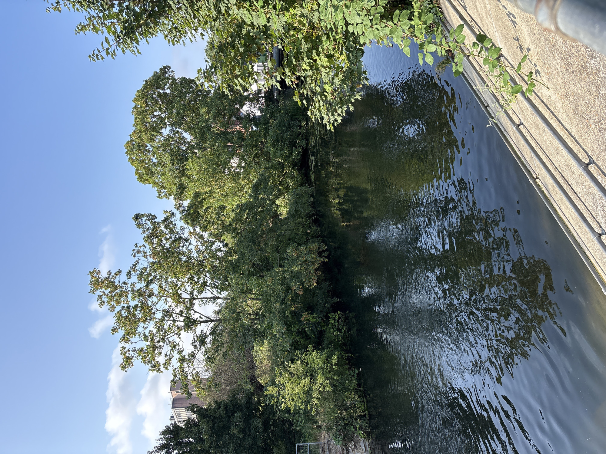 This is an outdoor, eye-level shot of a river in the city of Chelmsford, United Kingdom, likely taken during daytime. The river, which appears to be a canal or a slow-moving waterway, occupies the majority of the frame, reflecting the overcast sky and surrounding trees. The left bank is lined with lush green trees and vegetation, with a glimpse of a building in the distance. The right bank is a concrete embankment with metal railings, and some smaller plants growing from the concrete. A small bridge with a railing is visible in the background, spanning the river. The water is dark and calm, with ripples suggesting a gentle current. The overall scene evokes a sense of tranquility and nature within an urban setting.