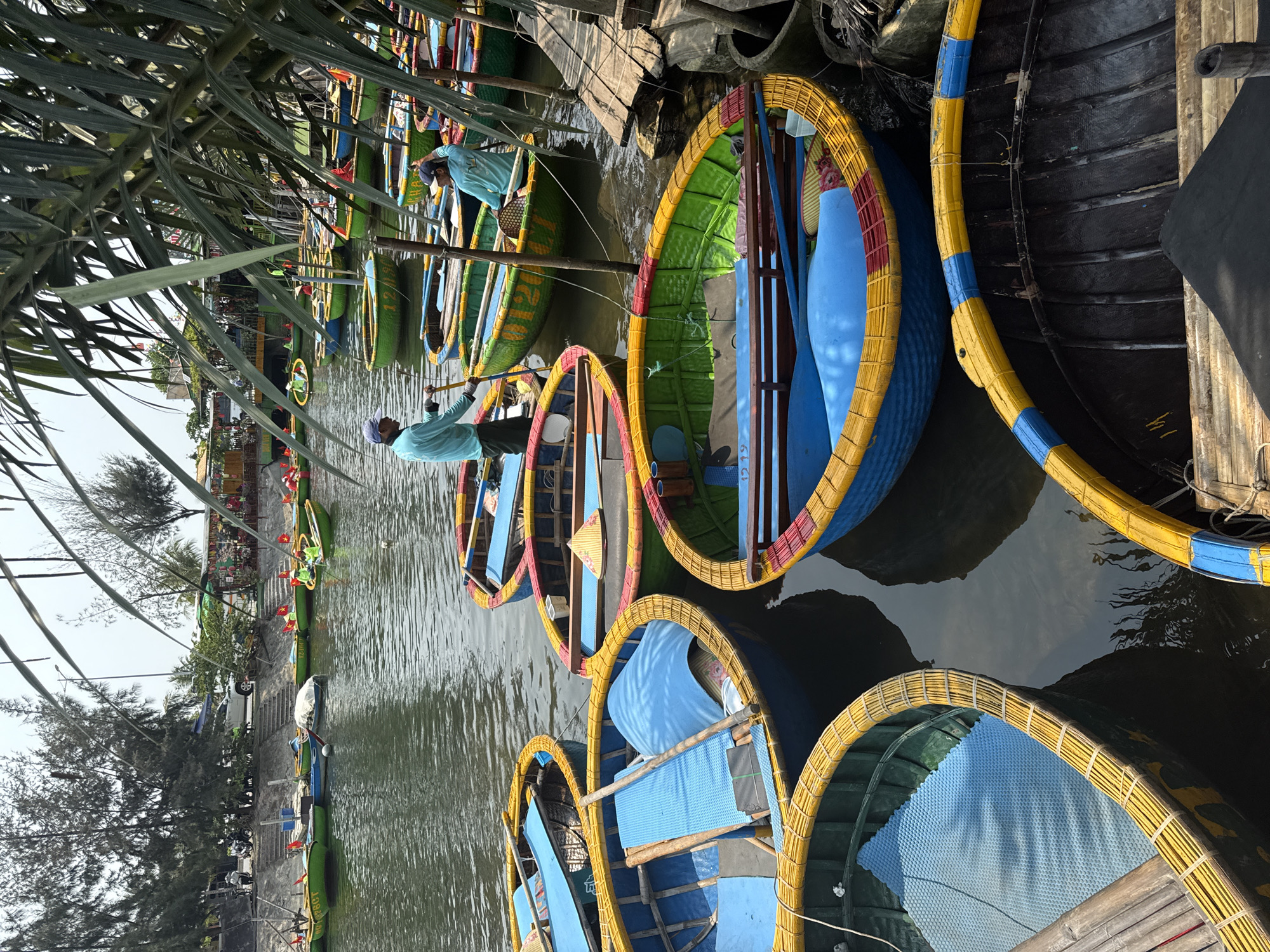 This image captures a lively scene of traditional Vietnamese basket boats, known as "thuyền thúng," on a waterway in Đà Nẵng, Vietnam, under bright daylight. Numerous round, colorful boats are present, predominantly featuring combinations of yellow, green, and blue, with some incorporating red accents. Most boats have blue interiors, and many are equipped with oars or poles.
Several individuals, presumably boat operators, are visible. They wear light blue long-sleeved shirts and hats, with one person wearing a white hat and others blue. One man in the mid-ground is actively operating a green and yellow basket boat, standing and using a long pole to push through the water. Other boats appear to be moored along wooden docks.
The scene is set outdoors with abundant natural light, indicating daytime. Large, tropical-looking green leaves frame the foreground, suggesting lush vegetation typical of the region. Across the calm, reflective waterway, the background reveals a shoreline lined with dense trees, buildings, and what appears to be a road with vehicles. The vibrant colors of the boats stand out against the darker water. Visible text includes numbers like "0121" and "1219" painted on the sides of some green boats, and "14" etched onto a wooden surface near a darker boat. The overall atmosphere conveys a calm, engaging tourist activity.