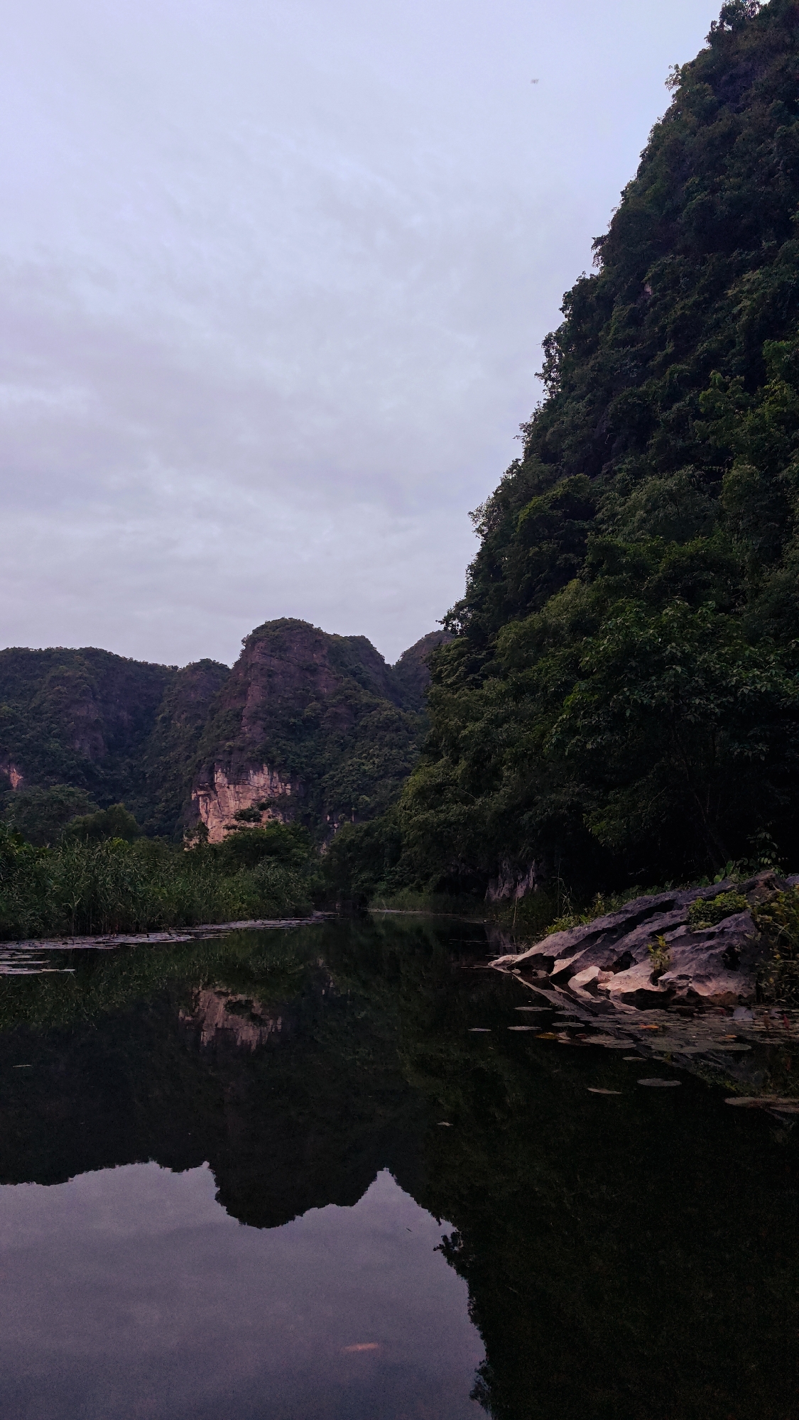 The image depicts a serene natural landscape, likely within the vicinity of Nam Hoa Lư Ward, Vietnam, known for its karst topography. The scene is dominated by towering, lush green limestone mountains rising steeply from the dark, still water of a river or lake. The mountains are densely covered with vegetation, with visible rocky outcrops and cliffs. The water reflects the dramatic scenery above, creating a mirror image of the mountains and the overcast sky. The sky itself is a muted grey, suggesting it might be dawn, dusk, or an overcast day. Along the water's edge, reeds and aquatic plants are visible, adding to the wild, untamed feel of the environment. A rocky bank is present on the right side of the image, partially submerged in the water. There are no visible people or specific man-made structures that would indicate immediate human activity. The overall impression is one of natural beauty and tranquility.