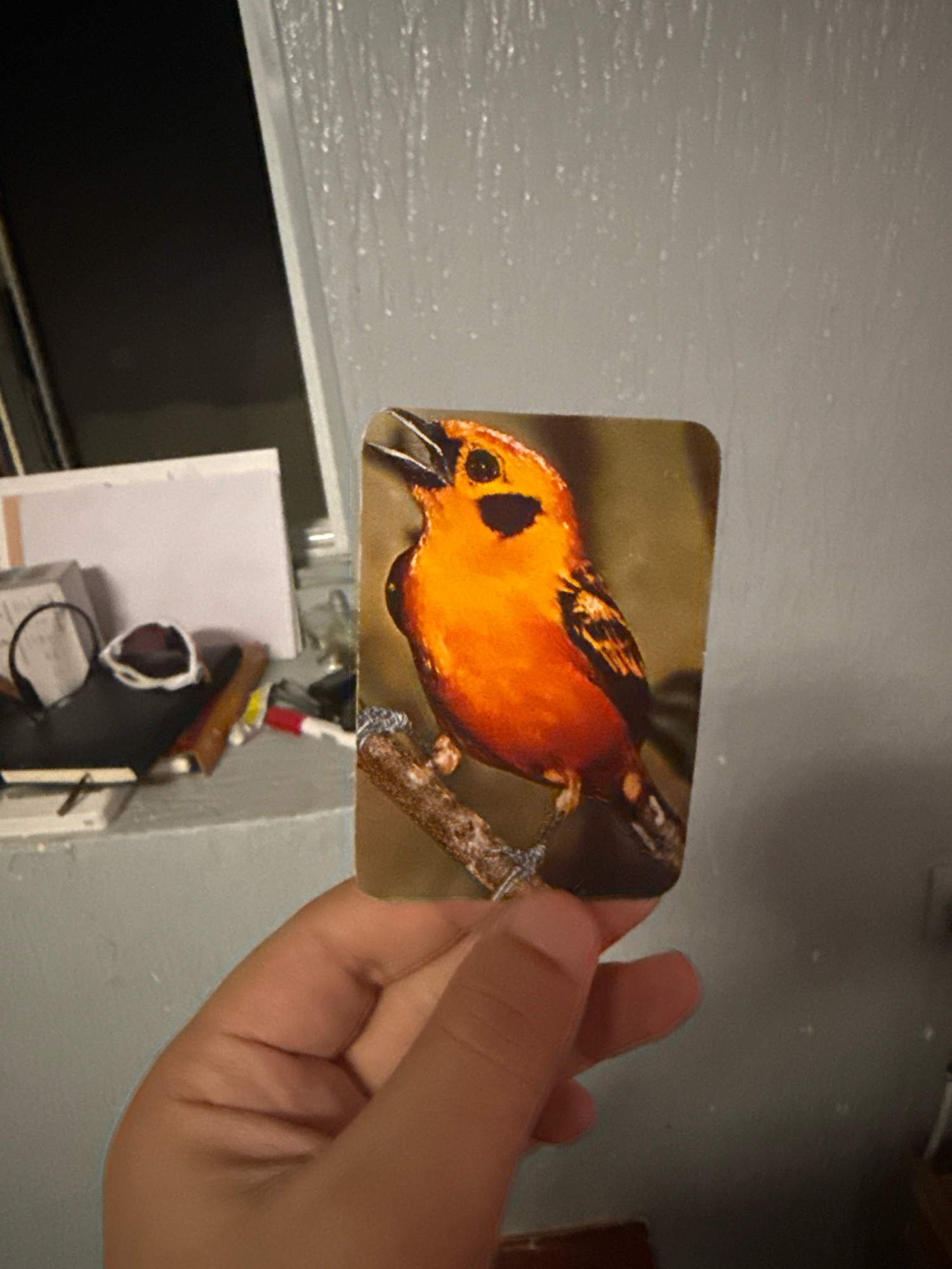A hand holds up a rectangular sticker featuring a vibrant orange bird perched on a twig. The bird has black markings around its eyes and on its wings, and its beak is open. The background of the sticker is a muted brown. In the blurred background of the image, a grey wall with a textured surface is visible. To the left, a shelf holds various objects including a black notebook, a pair of headphones with a black circular element, and a pen with a red tip. The overall setting appears to be indoors, possibly an office or a personal workspace. The image does not provide any specific information about the city of Fez, Morocco.