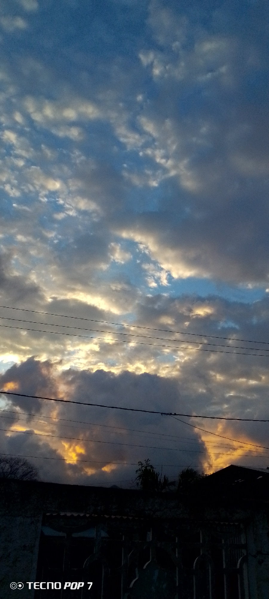 The image captures a dramatic sky during either sunrise or sunset, characterized by a dynamic interplay of clouds and light. The upper portion of the sky displays clear blue patches interspersed with scattered white and light grey clouds. Towards the middle and lower parts of the sky, thicker, darker grey clouds are prominent, but they are brilliantly backlit and illuminated from behind by intense golden and orange light, creating striking contrasts and vibrant streaks of color.
Multiple dark power lines stretch horizontally across the mid-section of the frame, partially obscuring the view of the clouds and forming distinct lines against the sky. The foreground is rendered almost entirely in silhouette, showing the dark outlines of residential rooftops, building structures, and sparse tree foliage. A gate or fence is also faintly discernible in the bottom right portion of the dark foreground.
The scene conveys a powerful natural spectacle over what appears to be a residential or suburban area in Altagracia, Venezuela, with the golden hour light providing the main visual interest. No people or specific activities are depicted. In the bottom left corner of the image, the text "◎ TECNO POP 7" is visible, indicating the device used for the photograph.