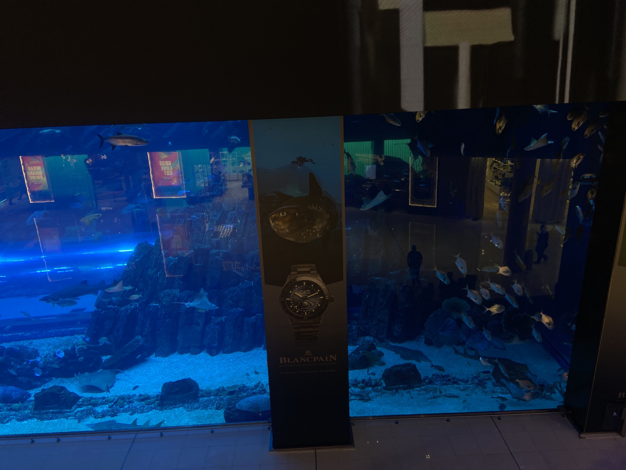 The image shows an underwater aquarium with various fish species, including sharks and rays, within what appears to be a retail setting, with a Blancpain watch advertisement banner positioned in front of the glass tank. The presence of people, their reflections, and the commercial setting with the Blancpain advertisement suggests this is likely located at the Dubai Mall, United Arab Emirates, known for its large aquarium.