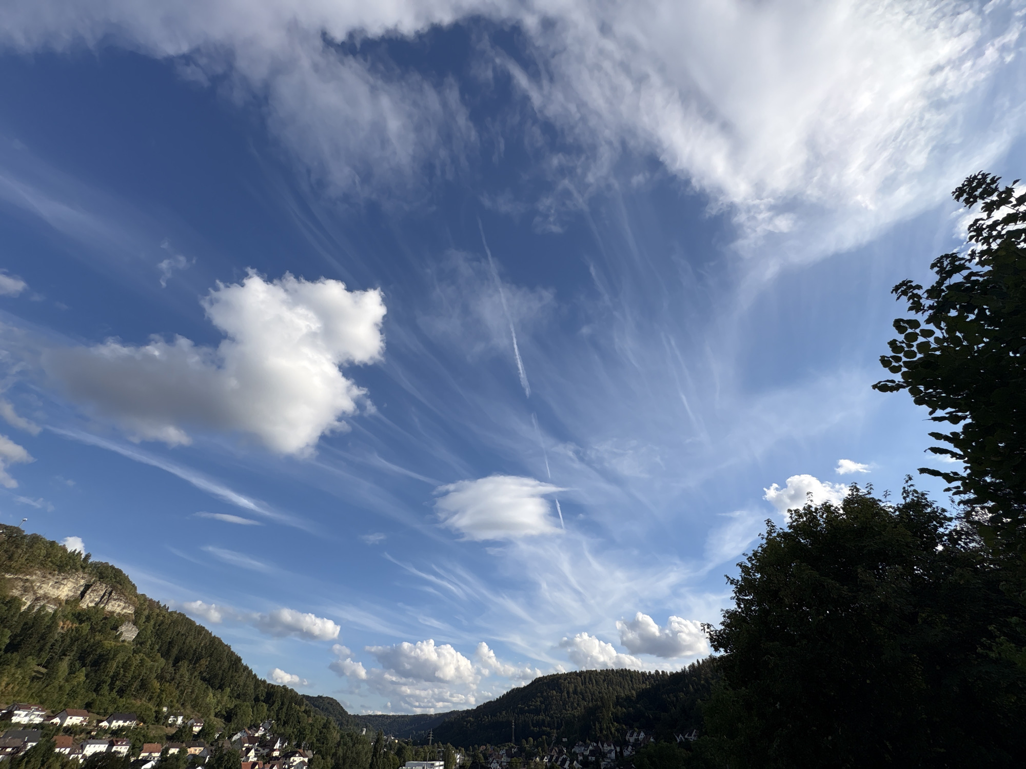The image captures a view of Oberndorf am Neckar, Germany, dominated by a vast blue sky filled with a variety of clouds. Prominent among them are streaky, wispy cirrus clouds that stretch across the upper portion of the frame, some appearing as delicate brushstrokes. A few cumulus clouds are also present, with one particularly distinct, pillowy cloud centered in the sky. A faint contrail from an aircraft is visible, dissecting the cloud formations.
In the lower half of the image, a sloping hillside covered in dense green trees forms a natural backdrop. At the base of the hill, a residential area with white-roofed houses is visible, nestled amongst the trees. The side of the hill features a rocky outcrop. The foreground is partially obscured by the dark silhouette of lush green foliage from a tree. The overall scene suggests an outdoor, elevated viewpoint overlooking a town situated in a valley. The lighting indicates it is daytime, likely late afternoon given the angle of the light and the contrast. There are no people or animals visible in the image.