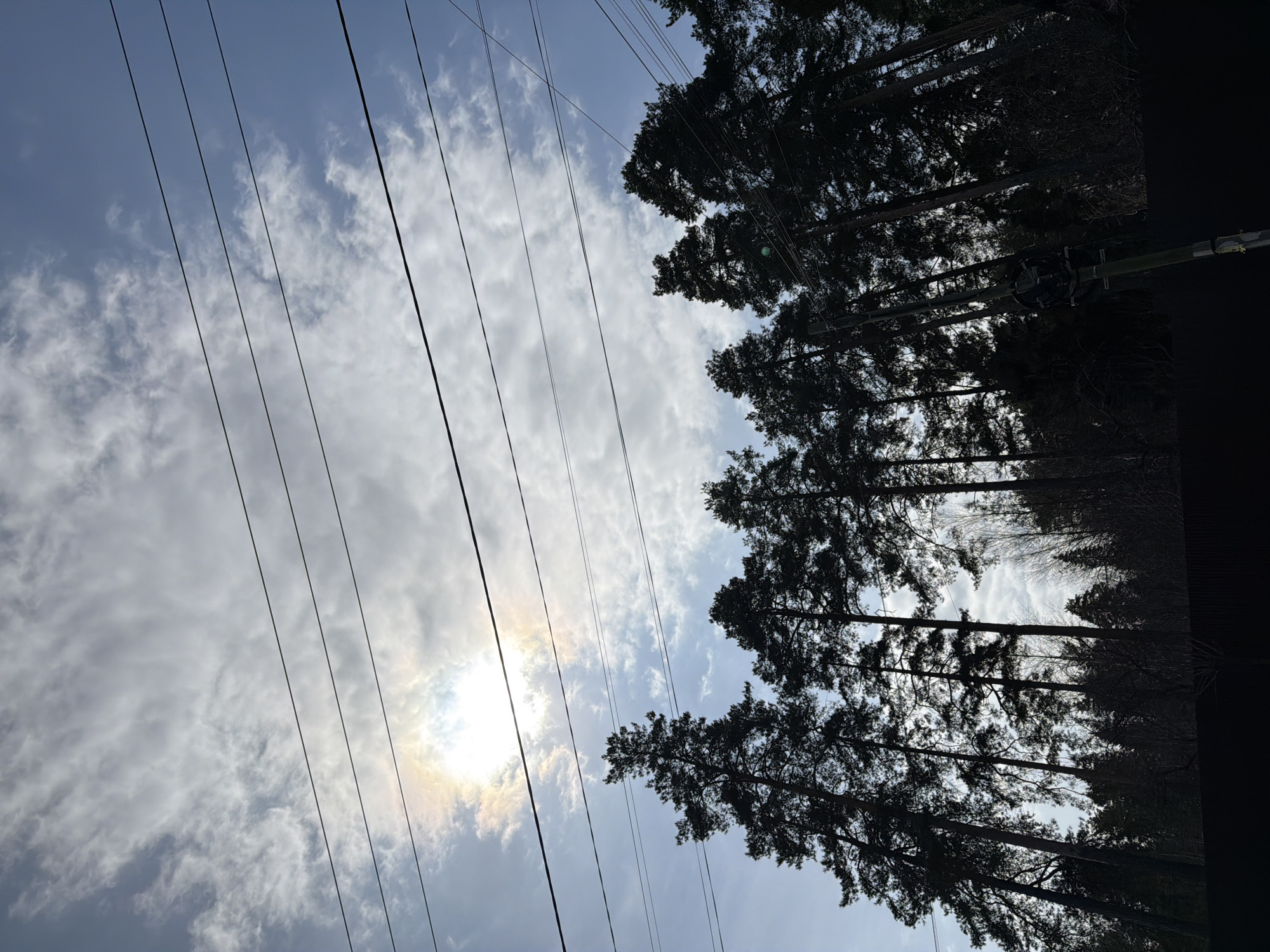 The image is a low-angle shot looking up at the sky, power lines, and treetops. The sky is light blue with scattered white clouds, and the sun is visible as a bright spot partially obscured by the clouds. The power lines are dark and run diagonally across the frame. The treetops are silhouetted against the sky and fill the right side of the image. The dark nature of the trees and the power lines creates a high contrast with the lighter sky. The image may be taken in Chaikovsky, Russia.