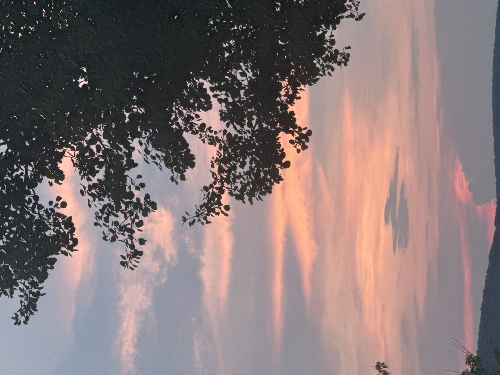 The image captures a sunset in Pavliv, Ukraine. Silhouetted against a sky painted with hues of pink, orange, and purple, a cluster of tree branches with dark leaves occupies the upper right portion of the frame. Wispy clouds are stretched horizontally across the sky, reflecting the warm colors of the setting sun. Below the sky, a dark, undulating silhouette of hills or mountains forms the horizon. The overall scene evokes a tranquil and serene natural landscape.