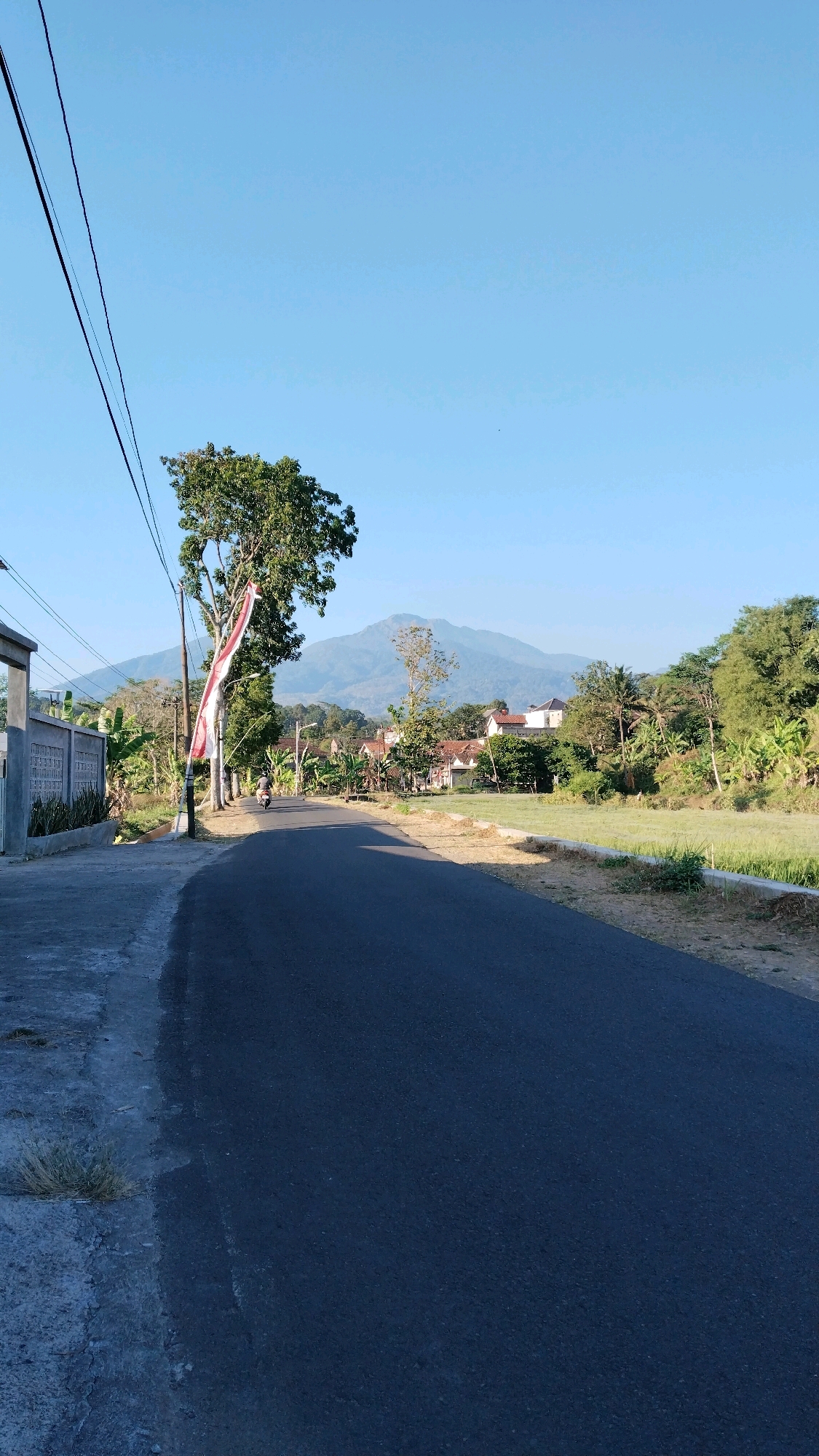 The image shows a road curving to the right, leading towards a hazy blue mountain in the distance. On the left side of the road, there is a concrete fence and some vegetation. A tall tree stands near the road, adorned with a red and white flag. Further down the road, a person on a motorcycle is visible. On the right side of the road, there is a field and more trees. The sky is clear and blue. The scene appears to be a rural or suburban area with a clear view of a mountain. While the image does not provide specific landmarks to pinpoint the exact location within Semarang, Indonesia, the presence of the Indonesian flag suggests a patriotic context. The overall atmosphere is peaceful and serene, with the natural landscape dominating the scene.