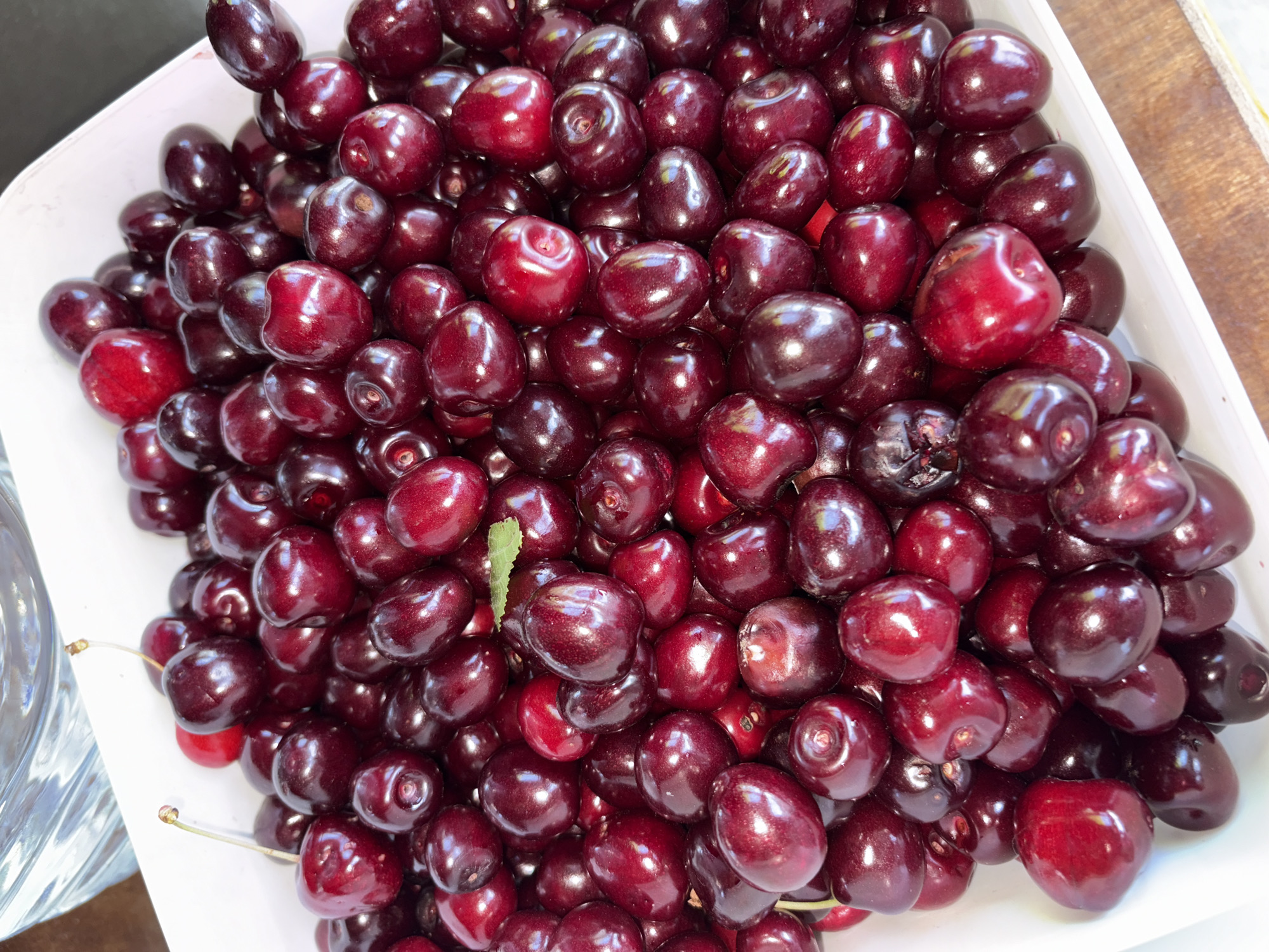 A white rectangular bowl filled with dark red cherries is positioned on a wooden surface. A portion of a clear glass or plastic container with water is visible in the upper left corner of the image. The cherries are round to slightly heart-shaped, with some exhibiting stems. One small green leaf is nestled among the cherries. The lighting suggests an outdoor or well-lit indoor environment. The specific location in the city of Vratsa, Bulgaria, cannot be determined from the visual information provided.
