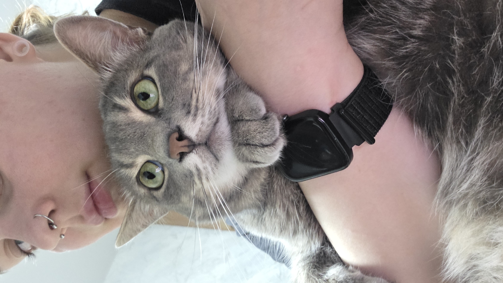 A close-up, rotated shot shows a human with pale skin, multiple piercings in their nose and ear, and a gray tabby cat. The cat has green eyes, a pink nose, and is resting its paw on the human's arm, which has a black smart watch. The background is indistinct and white. The location is Unknown, Unknown.