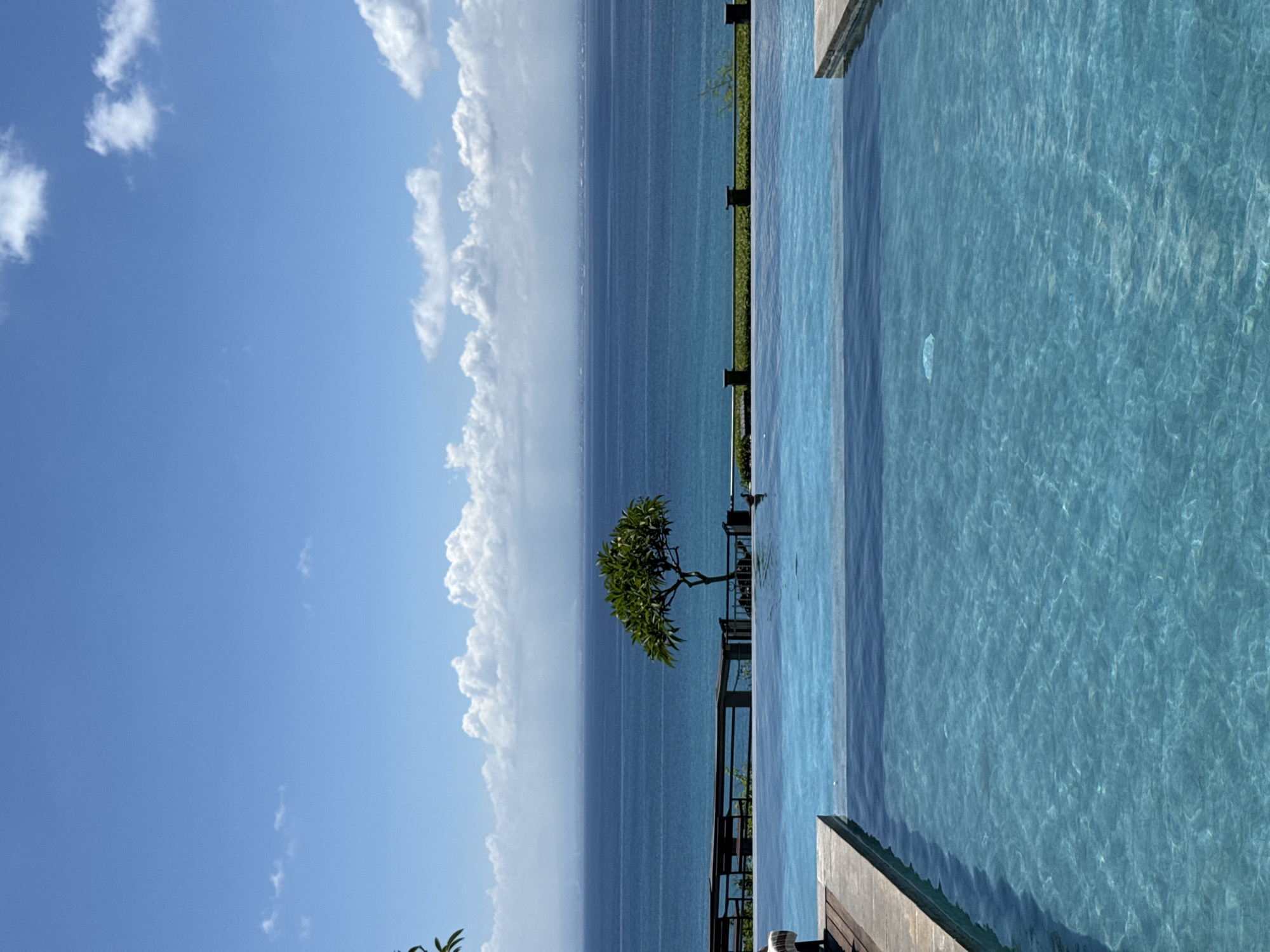 This image presents a serene tropical landscape centered around an infinity pool with an ocean view. The foreground features the sparkling turquoise waters of the infinity pool, showing clear ripples and reflections from the bright sunlight. A concrete or wooden edge of a deck is visible along the right side of the pool.
Beyond the pool's edge, a narrow strip of land is home to a small, leafy green tree, providing a natural element between the constructed pool and the vast sea. The deep blue ocean stretches horizontally across the middle ground, appearing calm and extending to meet the horizon.
The sky above is a clear, vibrant blue, adorned with scattered white cumulus clouds. These clouds are more prominent on the left side of the frame, gradually becoming sparser towards the right. The bright and even illumination indicates a sunny daytime, likely mid-morning to late afternoon.
The overall scene conveys a sense of tranquility and luxury, characteristic of a resort or vacation destination in a tropical climate, consistent with the Kuta Selatan, Indonesia context. There are no people visible, enhancing the peaceful atmosphere. A very faint, light-colored object, possibly a small deflated bottle or debris, can be seen on the surface of the pool in the bottom right corner. No visible text is present in the image.