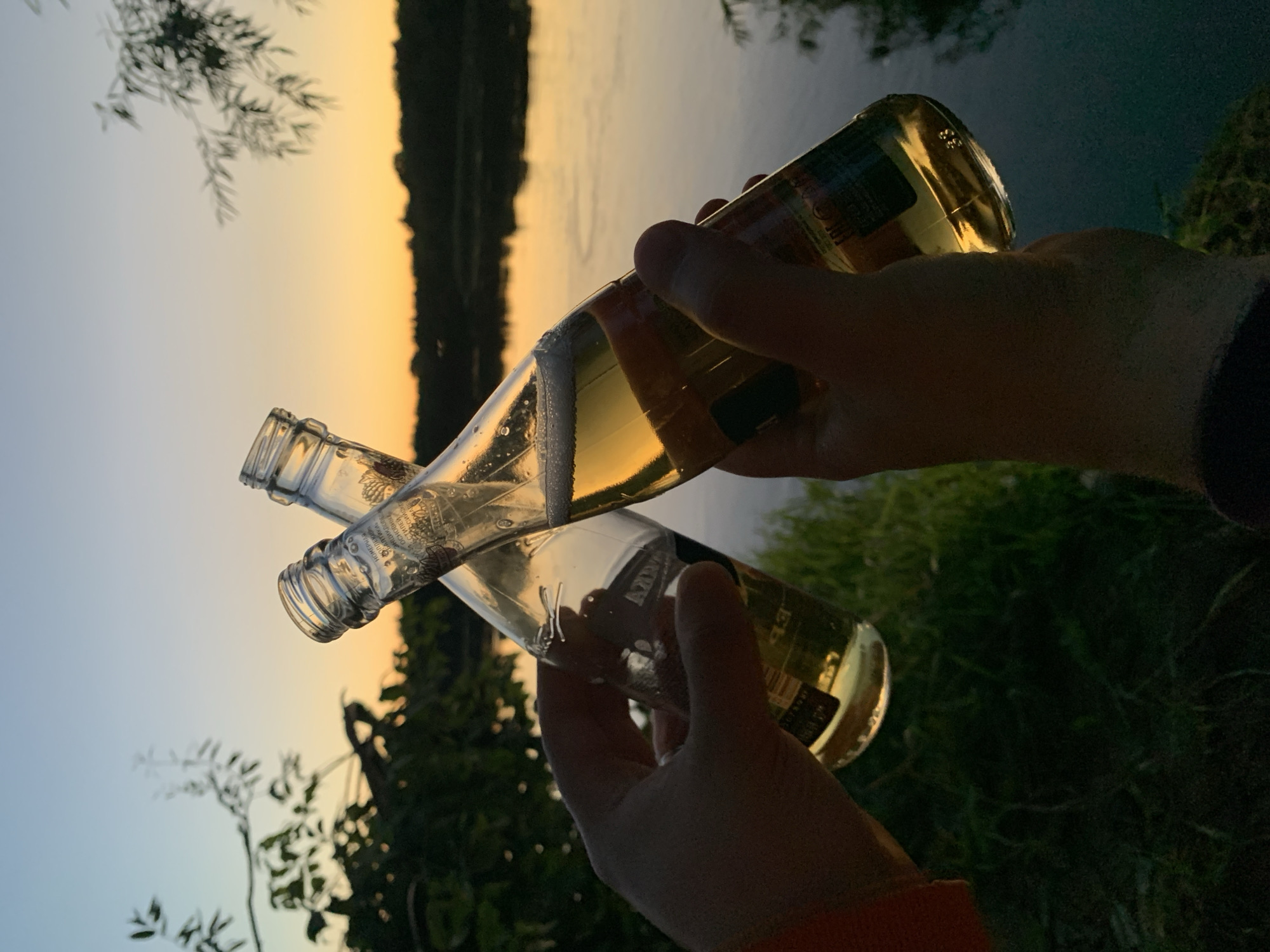 Two hands hold glass bottles of light-colored beer, clinking them together in a toast. The bottles are partially filled and illuminated by the warm glow of a sunset. Behind the bottles, a body of water, likely a river, is visible, reflecting the sky. The background features a silhouette of trees and foliage against a gradient sky of pale blue and orange hues. The scene appears to be outdoors, possibly in a park or along a riverbank in Kirov, Russia, during dusk. The image captures a moment of celebration or relaxation in a natural setting.