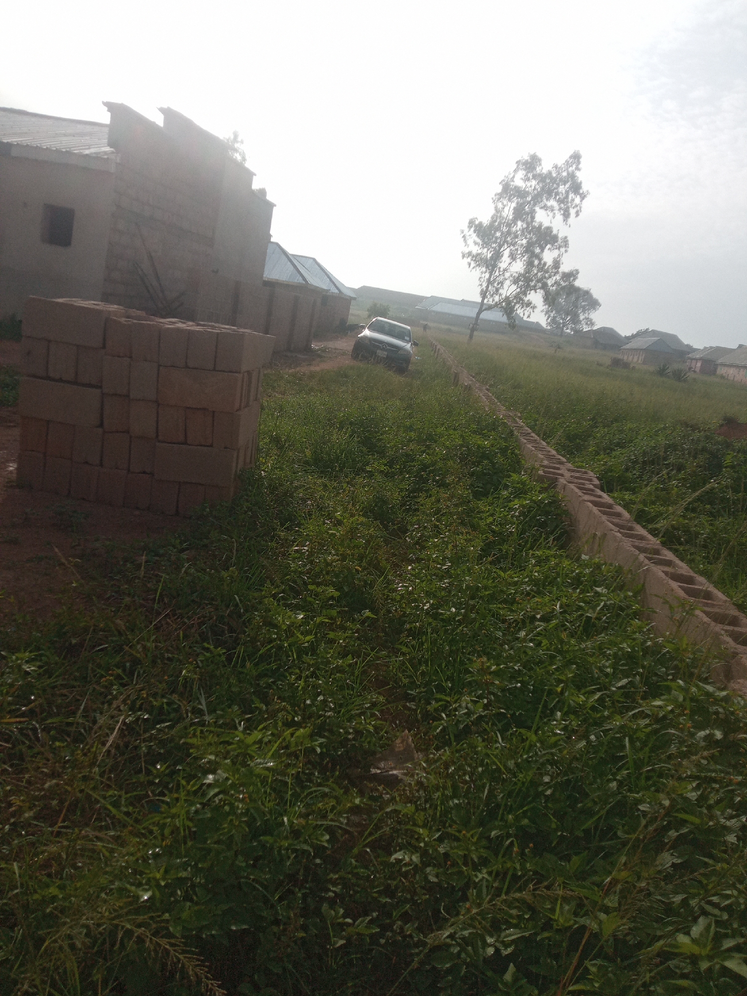 An outdoor, slightly hazy daytime scene shows a brick building under construction in the foreground, with stacks of building blocks to the left. A car is parked on a dirt road that runs alongside the building, and further into the background, a line of concrete blocks demarcates a property boundary. The area is overgrown with tall grass and weeds, and several trees are visible in the distance, along with other residential structures.