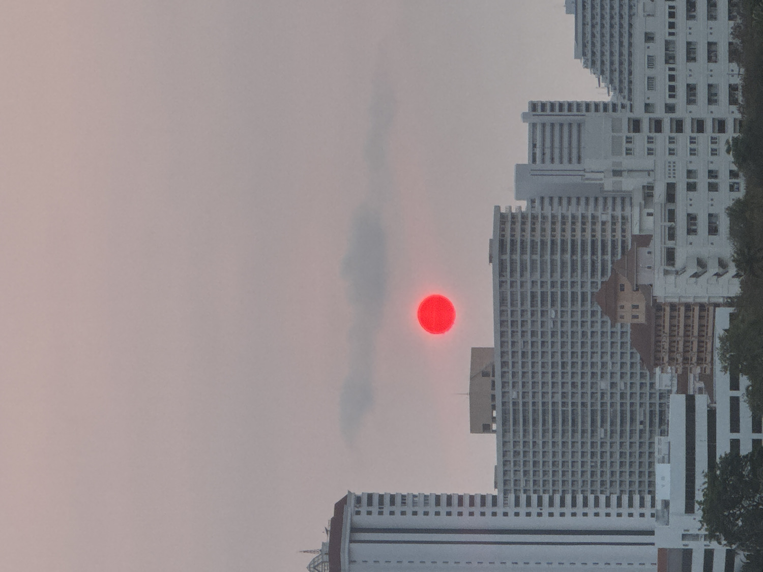 The image, viewed upright, captures a striking urban landscape under a hazy sky, likely during sunrise or sunset. A perfectly circular, intensely red sun is the central and most dramatic feature, positioned low above the city's skyline. Its unusual crimson hue strongly suggests significant atmospheric conditions such as haze, smog, or smoke, which also tints the sky a diffused, pale pinkish-grey. Some faint, elongated cloud-like formations are visible within this hazy atmosphere.
The scene is dominated by numerous tall, modern high-rise buildings, indicative of a developed city like Pattaya, Thailand. These structures are primarily light grey or white, characterized by repetitive patterns of windows and balconies. Some buildings incorporate sections with brown, possibly tiled, roofs or other architectural details, adding variation to the urban fabric. Dark green foliage from trees is visible along the right and bottom edges, providing a touch of nature amidst the concrete and glass. No specific human activity or identifiable individuals are depicted, allowing the focus to remain on the architectural expanse and the compelling atmospheric phenomenon of the red sun. The overall impression is one of a surreal and dramatic urban vista, marked by a distinctive and somewhat ominous atmospheric event.