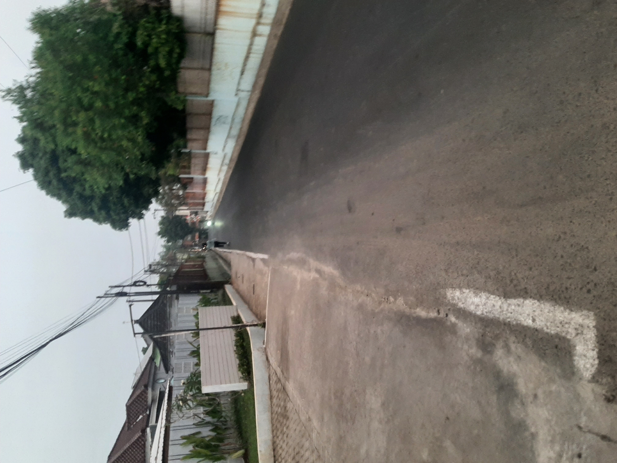 The image depicts a street scene in Purwanegara, Indonesia. The perspective is from the side of the road, looking down a paved street. On the left side of the road, there is a sidewalk and a low white wall with some landscaping. Beyond the wall, houses with red-tiled roofs are visible, along with power lines running overhead. On the right side of the street, a large, dense green tree dominates the upper portion of the image. Further down the street, a person is visible walking or riding a motorcycle, and their headlights are illuminated. The sky is overcast, suggesting it may be early morning or late evening. The overall impression is of a residential street in a tropical or subtropical climate.
