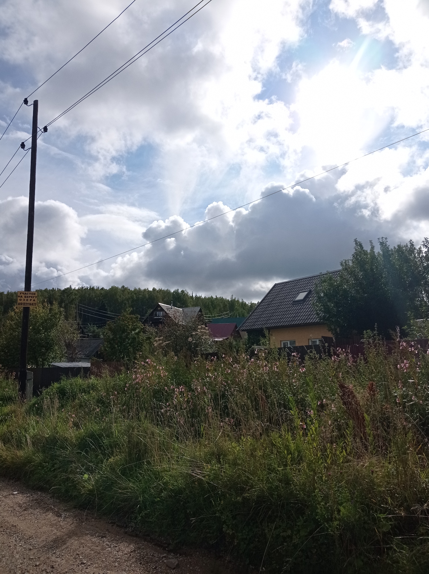 The image depicts a rural scene with a dirt road in the foreground. A wooden utility pole with power lines stretches across the upper left portion of the frame. A yellow sign with Cyrillic text is attached to the pole. Beyond the road, a dense area of green trees forms a backdrop. In the middle ground, several houses are visible. One house, on the right, has a dark, sloped roof with a skylight and light-colored walls. Another house, to the left of the first, appears to be darker and partially obscured by trees. The foreground and middle ground are populated with a variety of vegetation, including tall grasses and some flowering plants with pink blossoms. The sky is partly cloudy with bright sunlight breaking through, casting light and shadows on the scene. The location is identified as the city of Degtyarsk, Russia. There are no people or animals visible in the image.